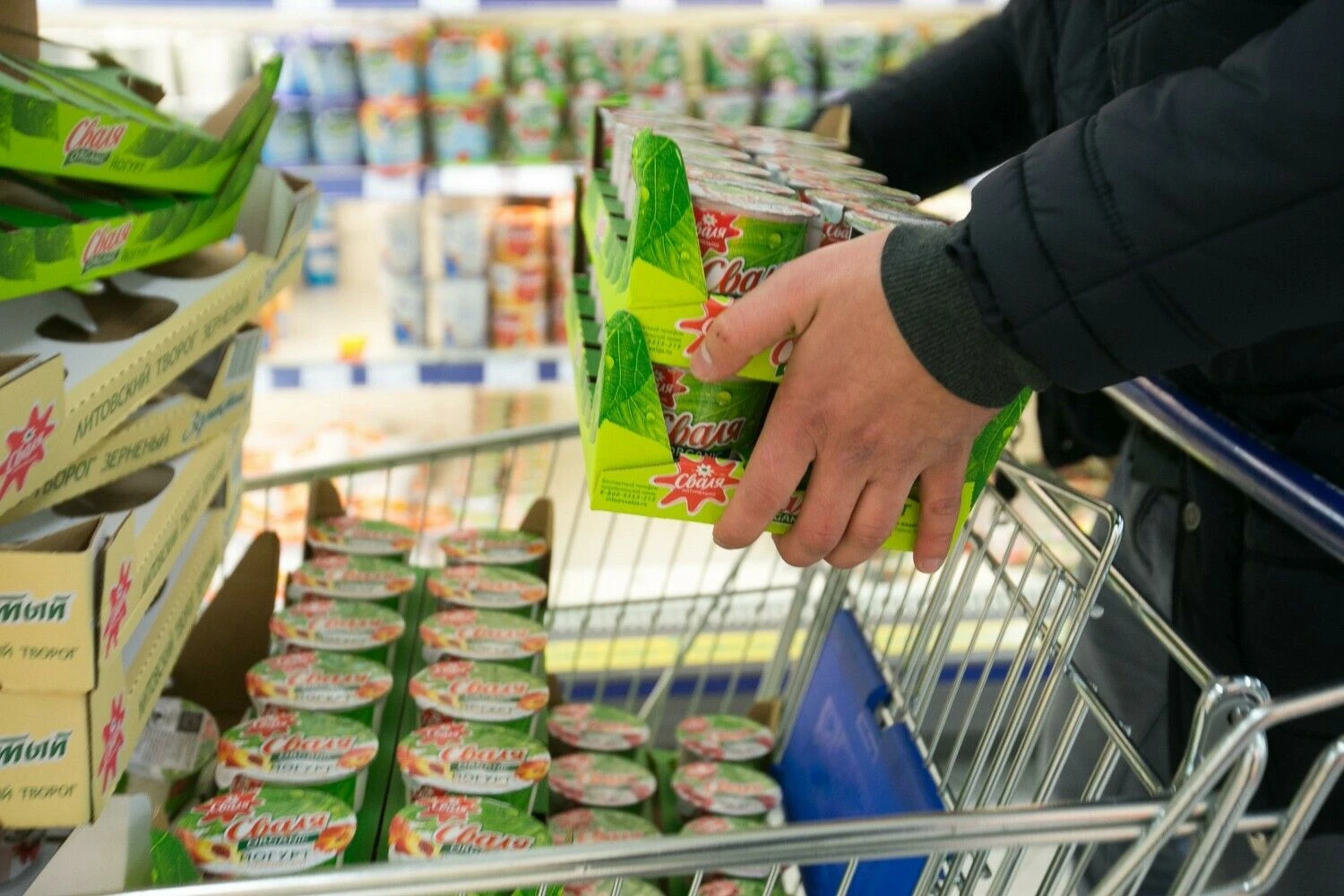 Juditos Grigelytės (VŽ) nuotr.