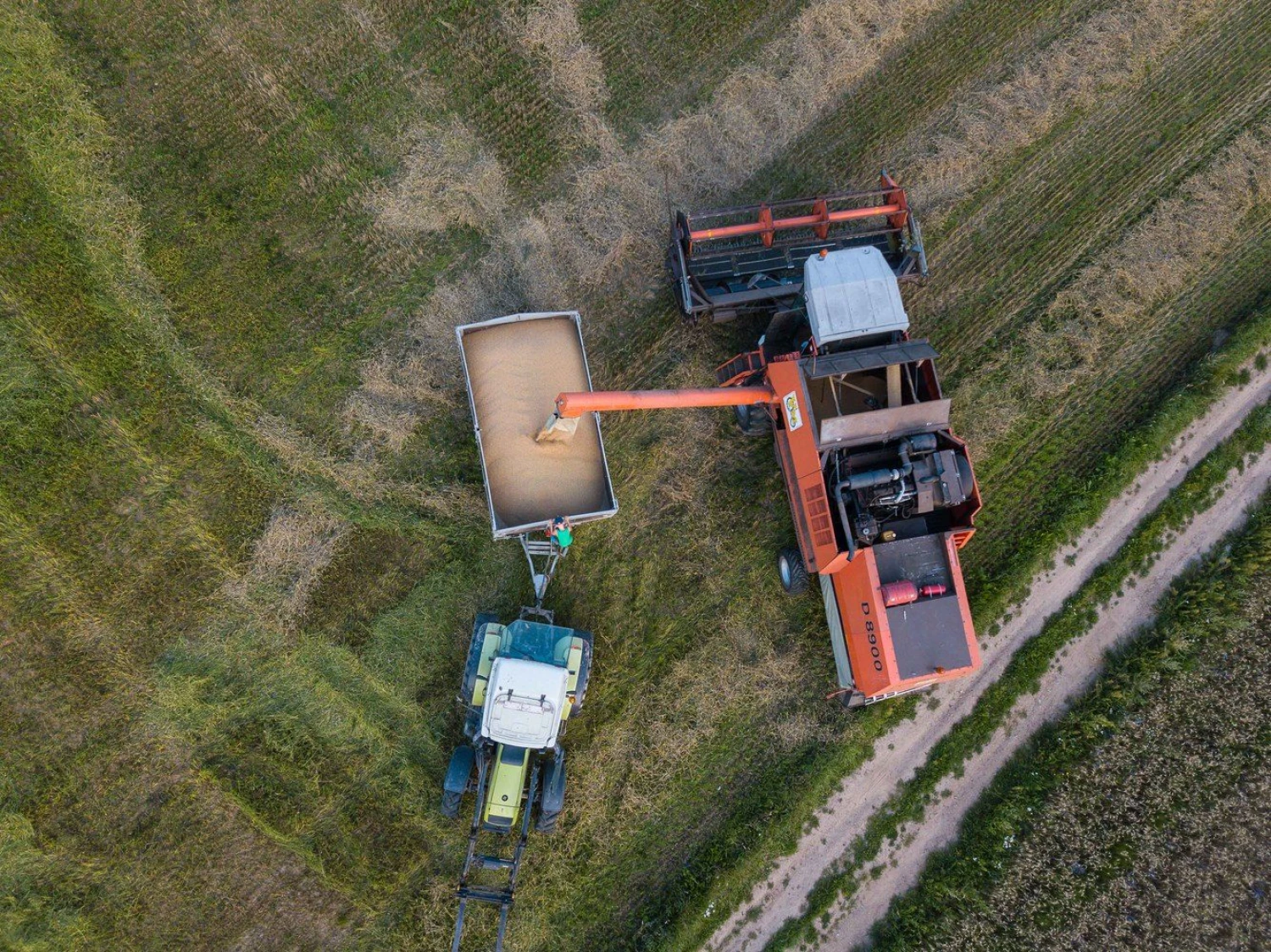 Vladimiro Ivanovo (VŽ) nuotr.