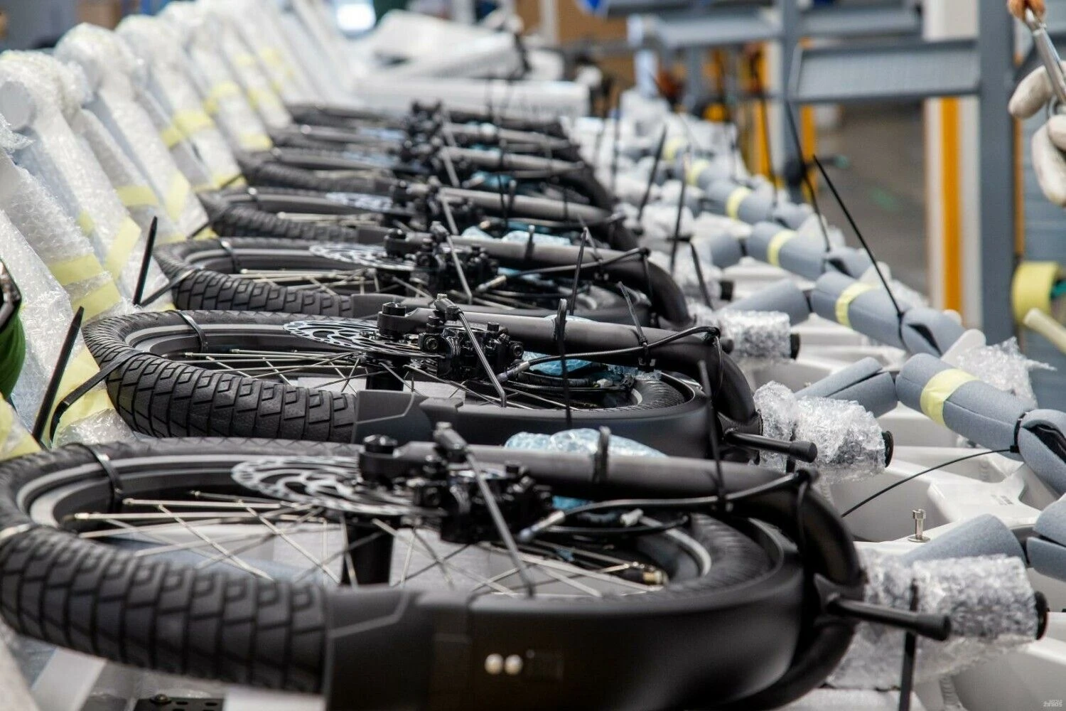 Vladimiro Ivanovo (VŽ) nuotr.