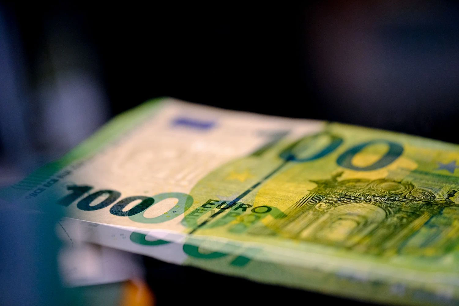 Vladimiro Ivanovo (VŽ) nuotr.