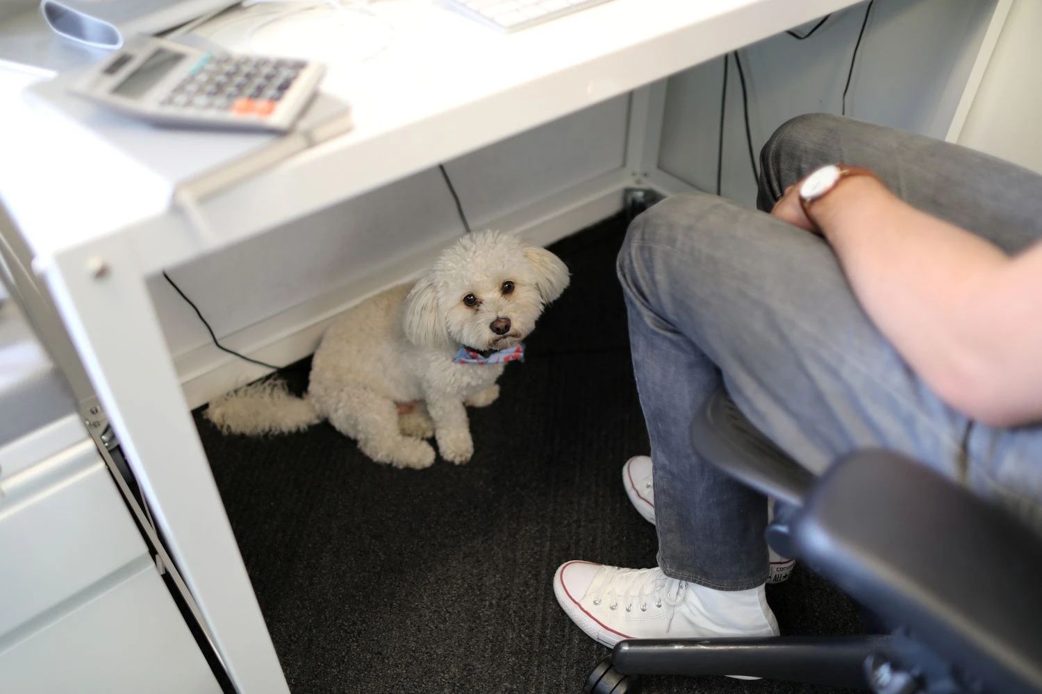 Lucy Nicholson („Reuters / „Scanpix) nuotr.