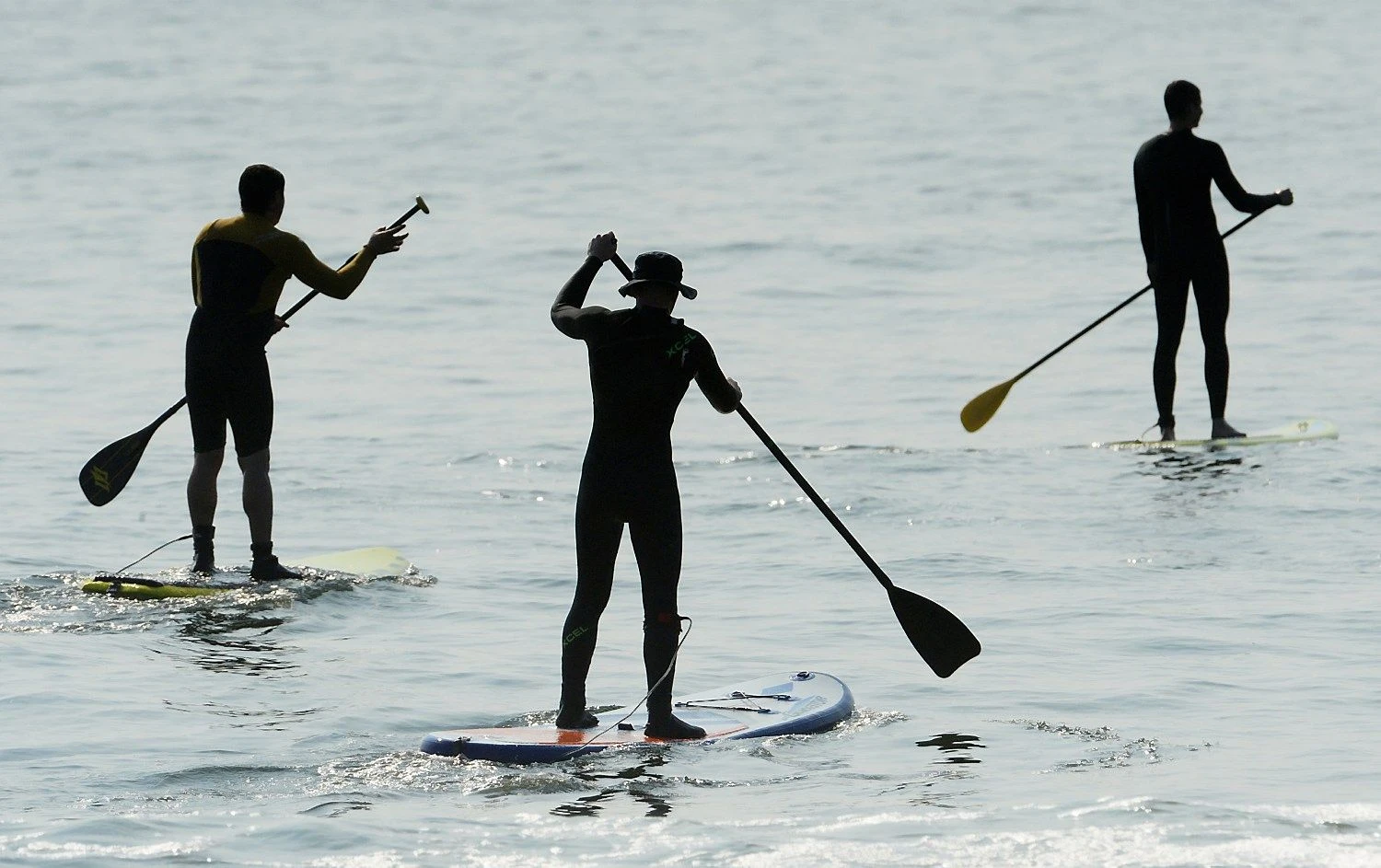 Vitalijaus Ankovo („Sputnik“ / „Scanpix“) nuotr.