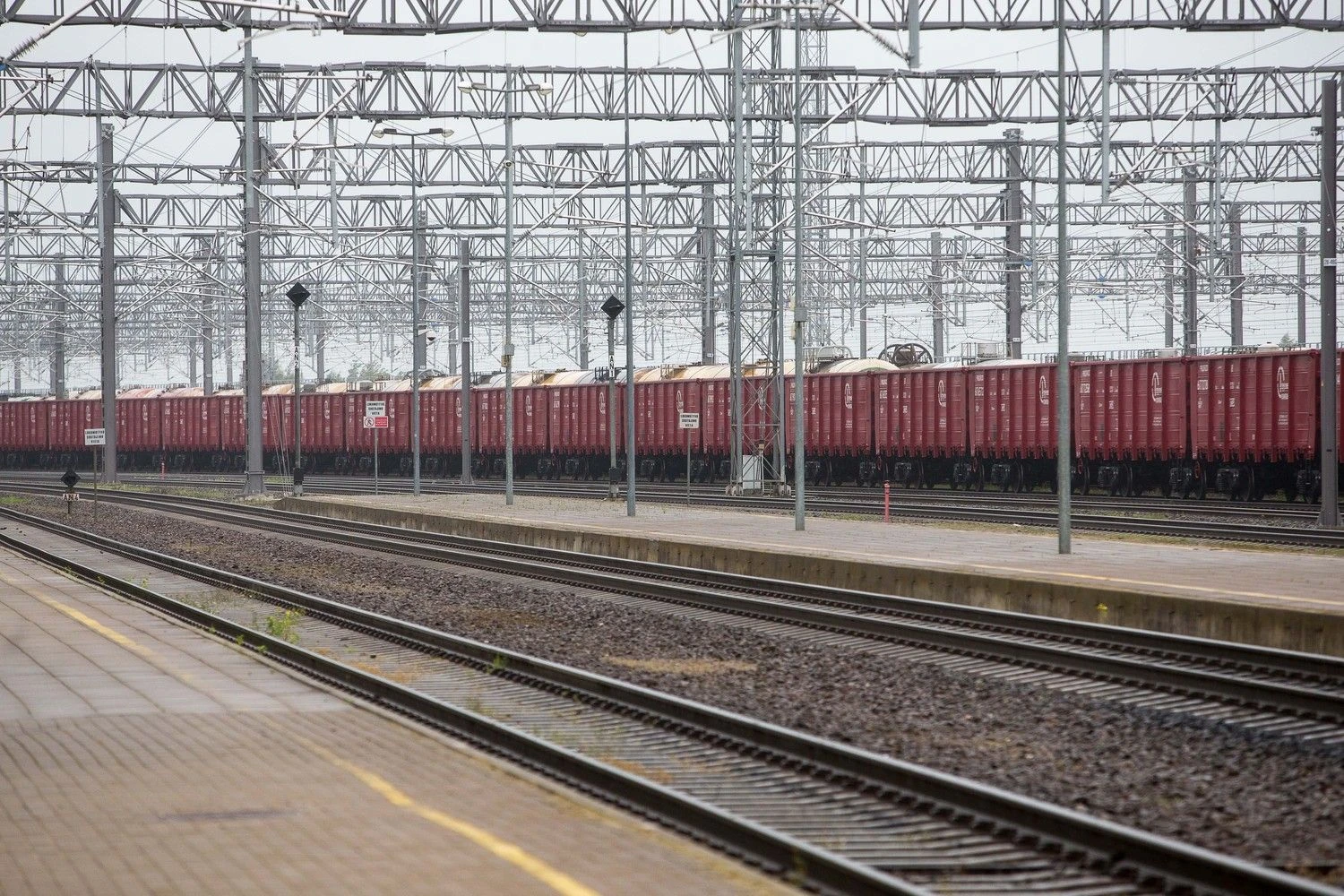 Vladimiro Ivanovo (VŽ) nuotr.  