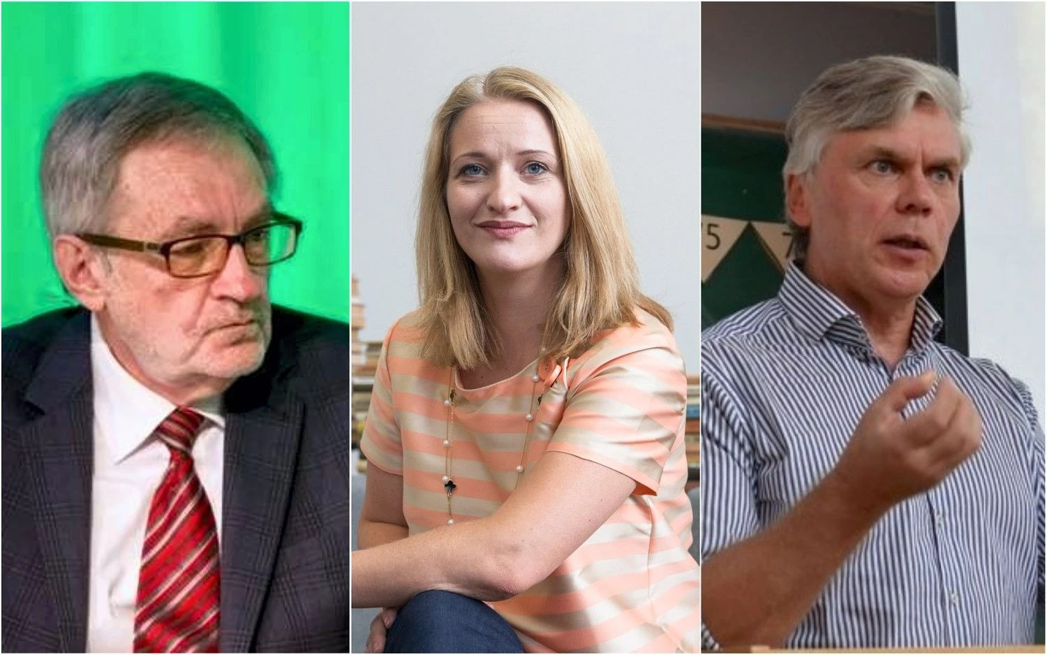 VŽ montažas. Ekonomistai: Teodoras Medaiskis, Jekaterina Rojaka, Linas Čekanavičius.