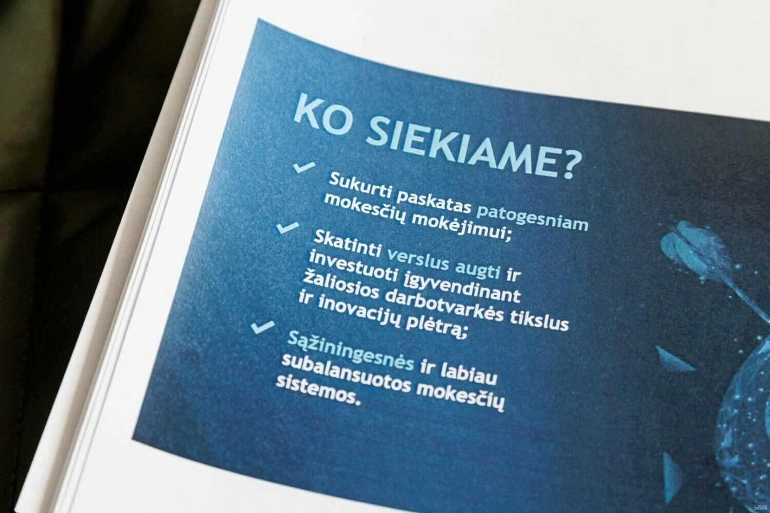 Vladimiro Ivanovo (VŽ) nuotr.