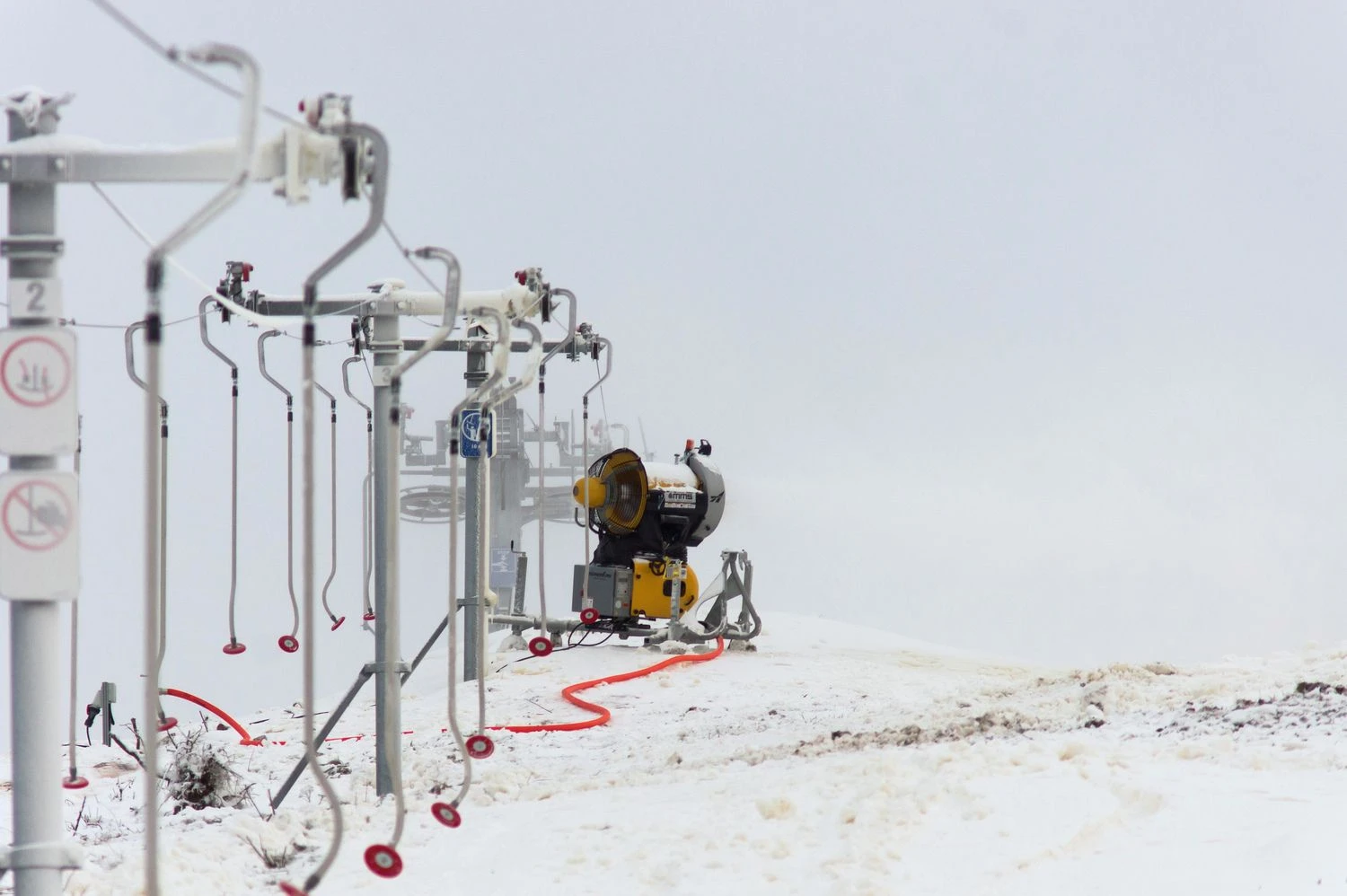 Algimanto Kalvaičio nuotr.