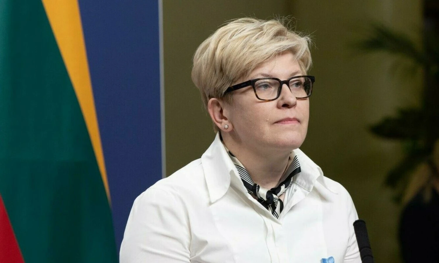 I. Šimonytė, premjerė. Juditos Grigelytės (VŽ) nuotr.