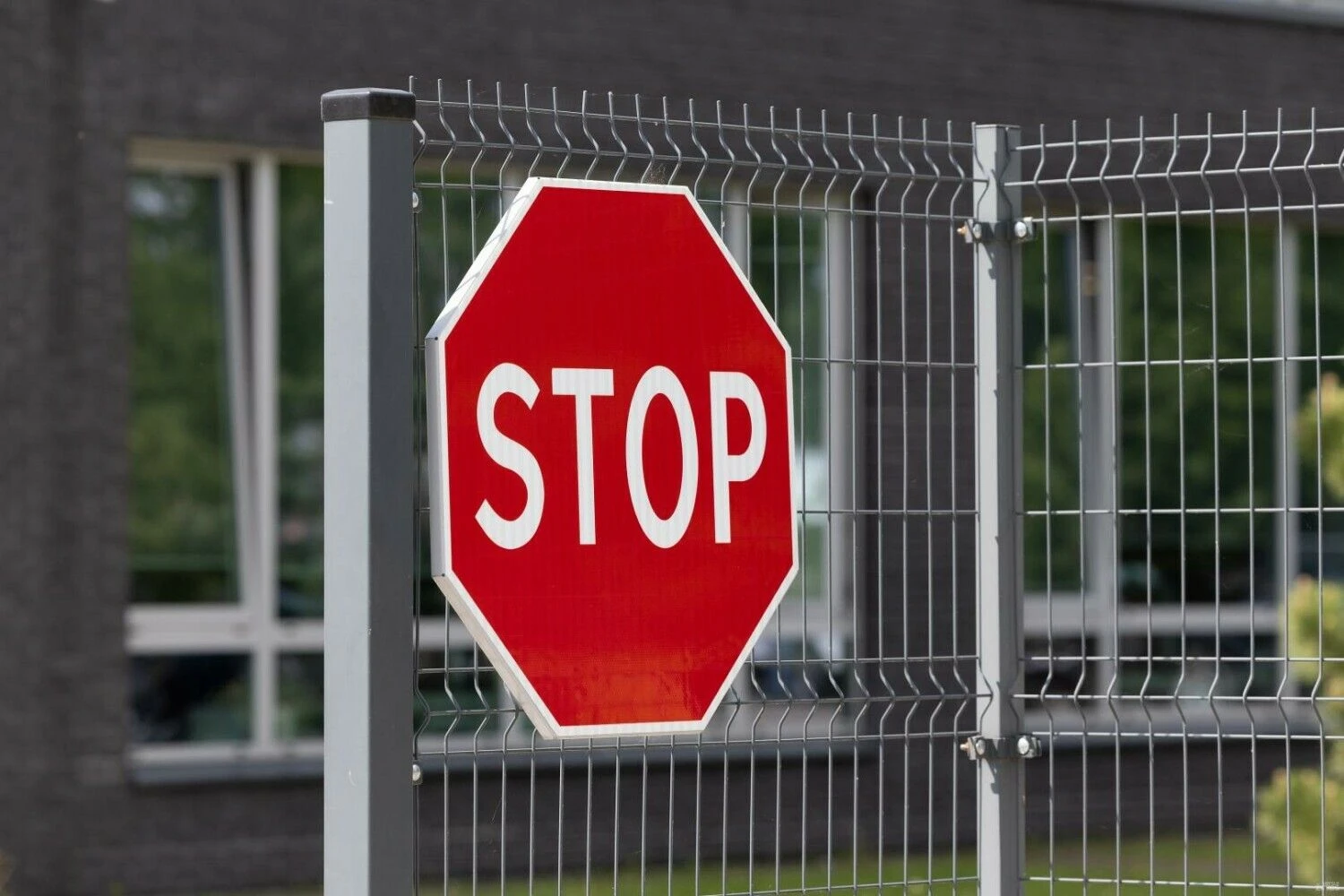 Juditos Grigelytės (VŽ) nuotr.