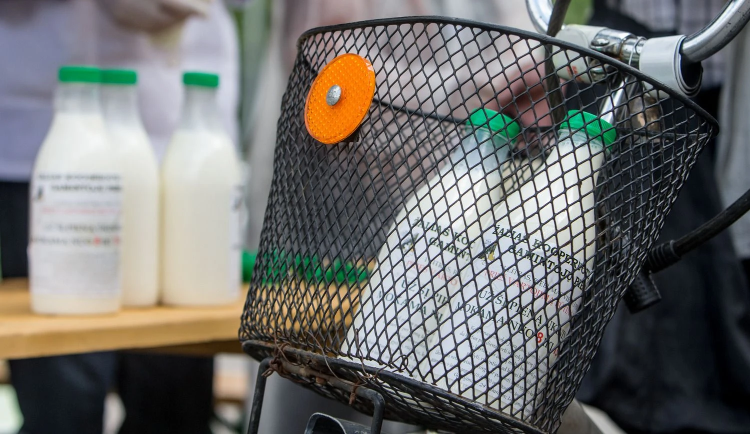 Juditos Grigelytės (VŽ) nuotr.