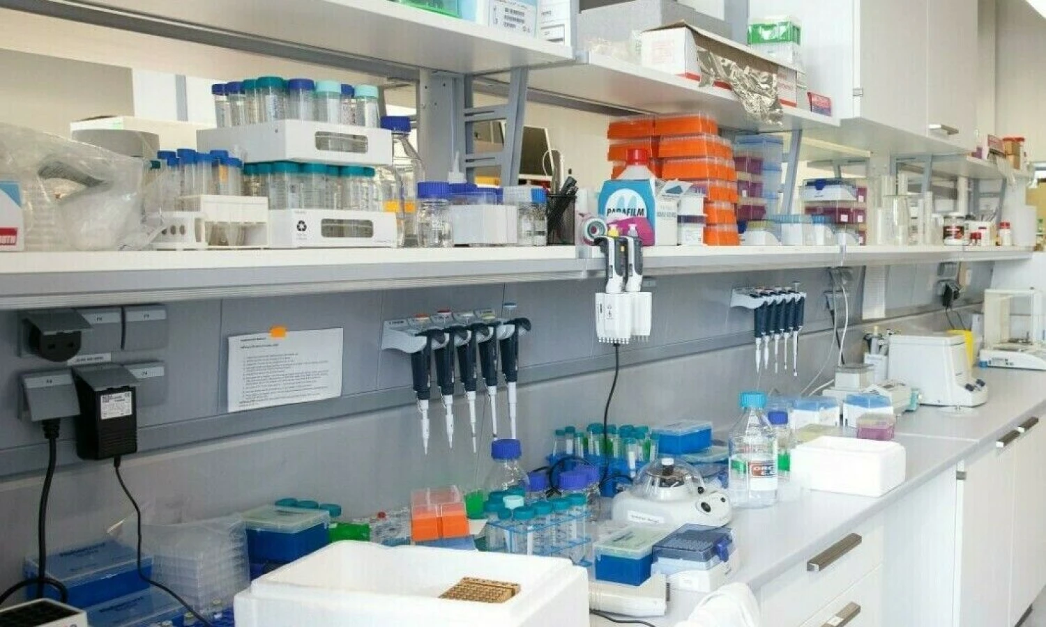 Juditos Grigelytės (VŽ) nuotr.