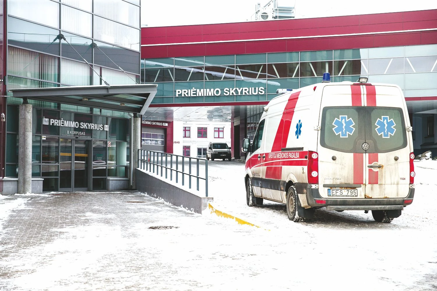 Vladimiro Ivanovo (VŽ) nuotr.