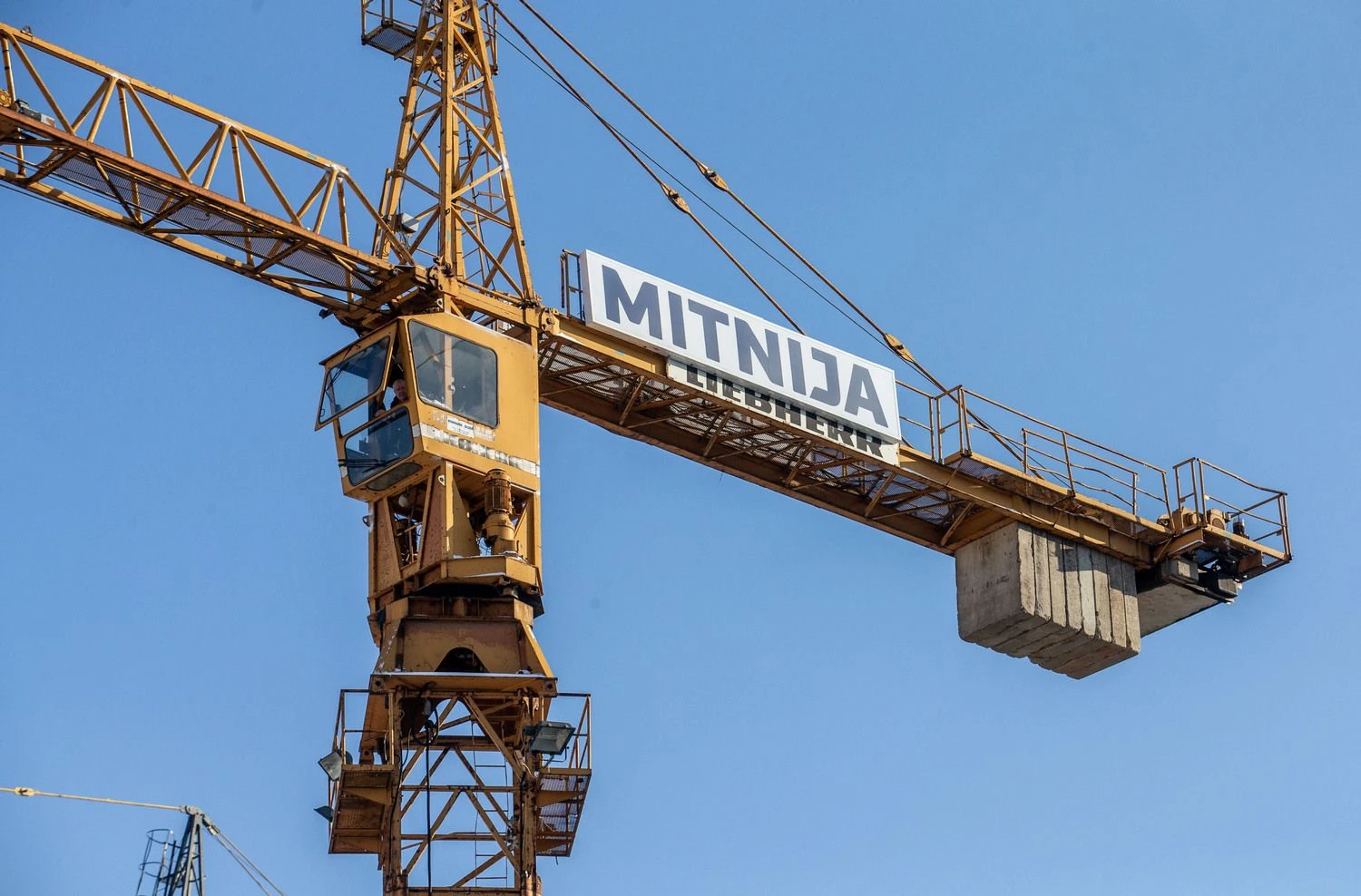 Juditos Grigelytės (VŽ) nuotr.