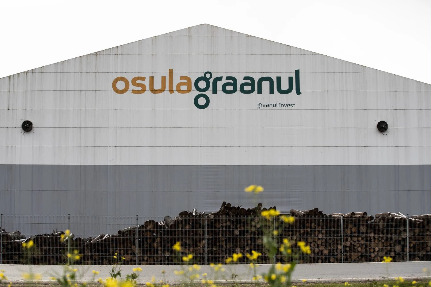 Liis Treimann („Aripaev“ / „Scanpix“) nuotr.