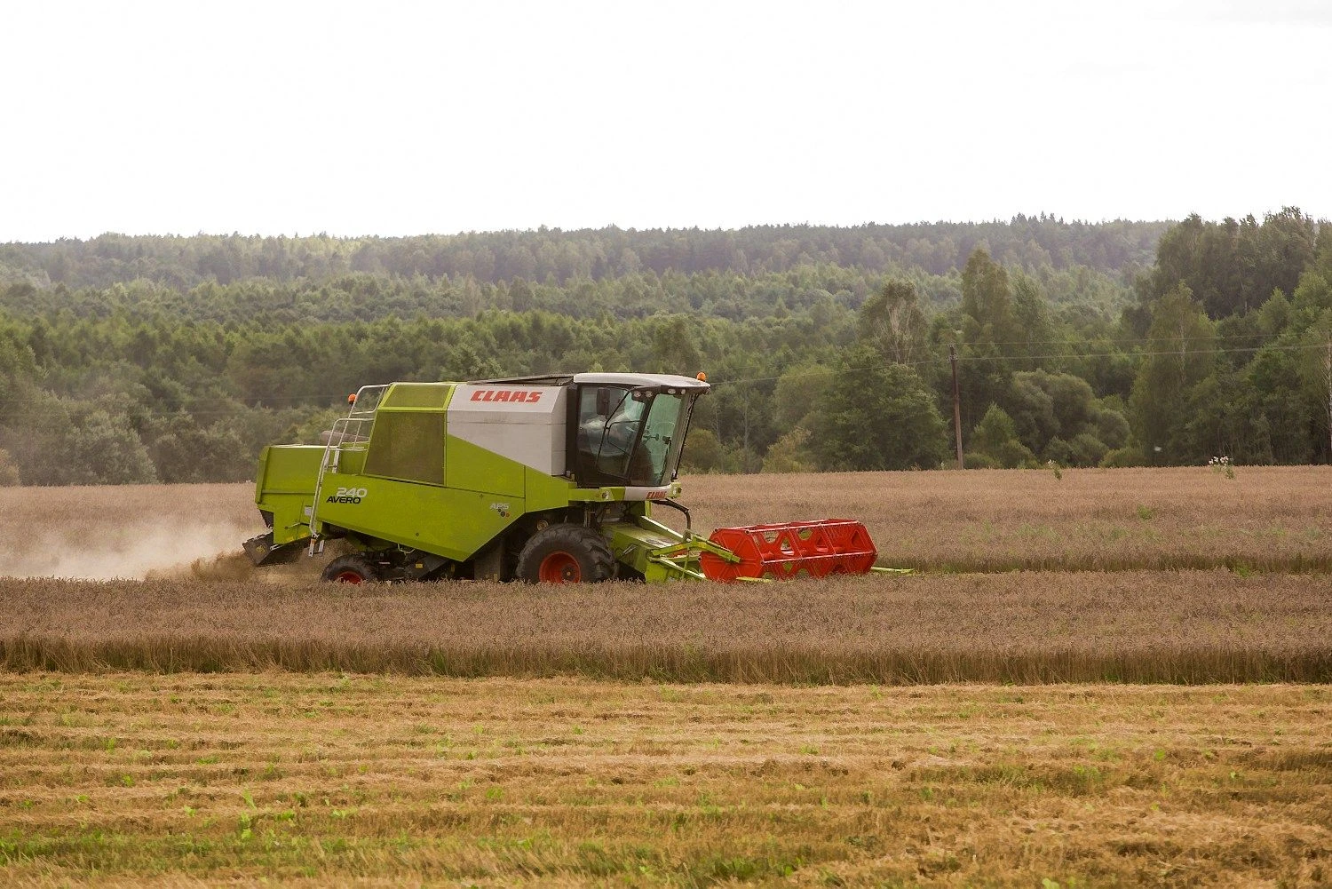 Vladimiro Ivanovo (VŽ) nuotr.
