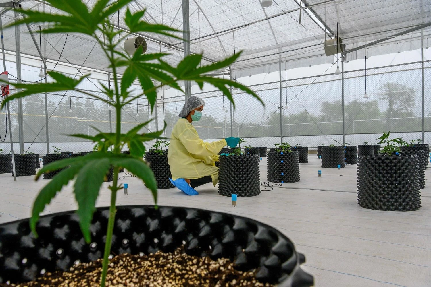 Mladen Antonov (AFP / „Scanpix“) nuotr.