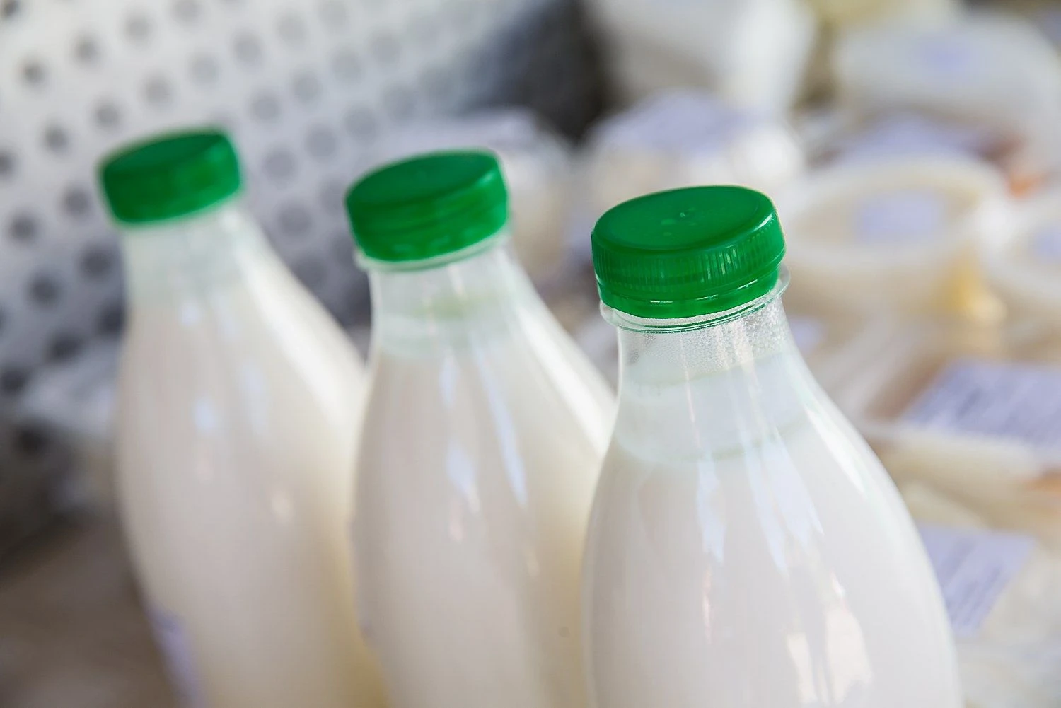 Juditos Grigelytės (VŽ) nuotr.