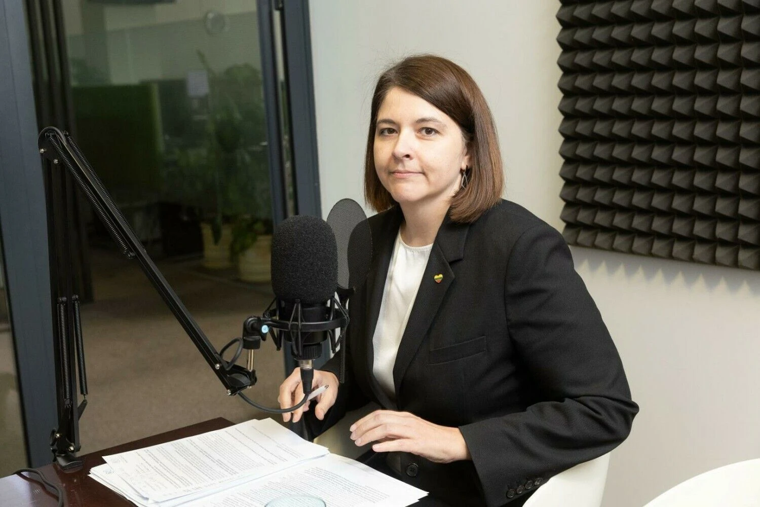 Gintarė Skaistė, finansų ministrė. Juditos Grigelytės (VŽ) nuotr.