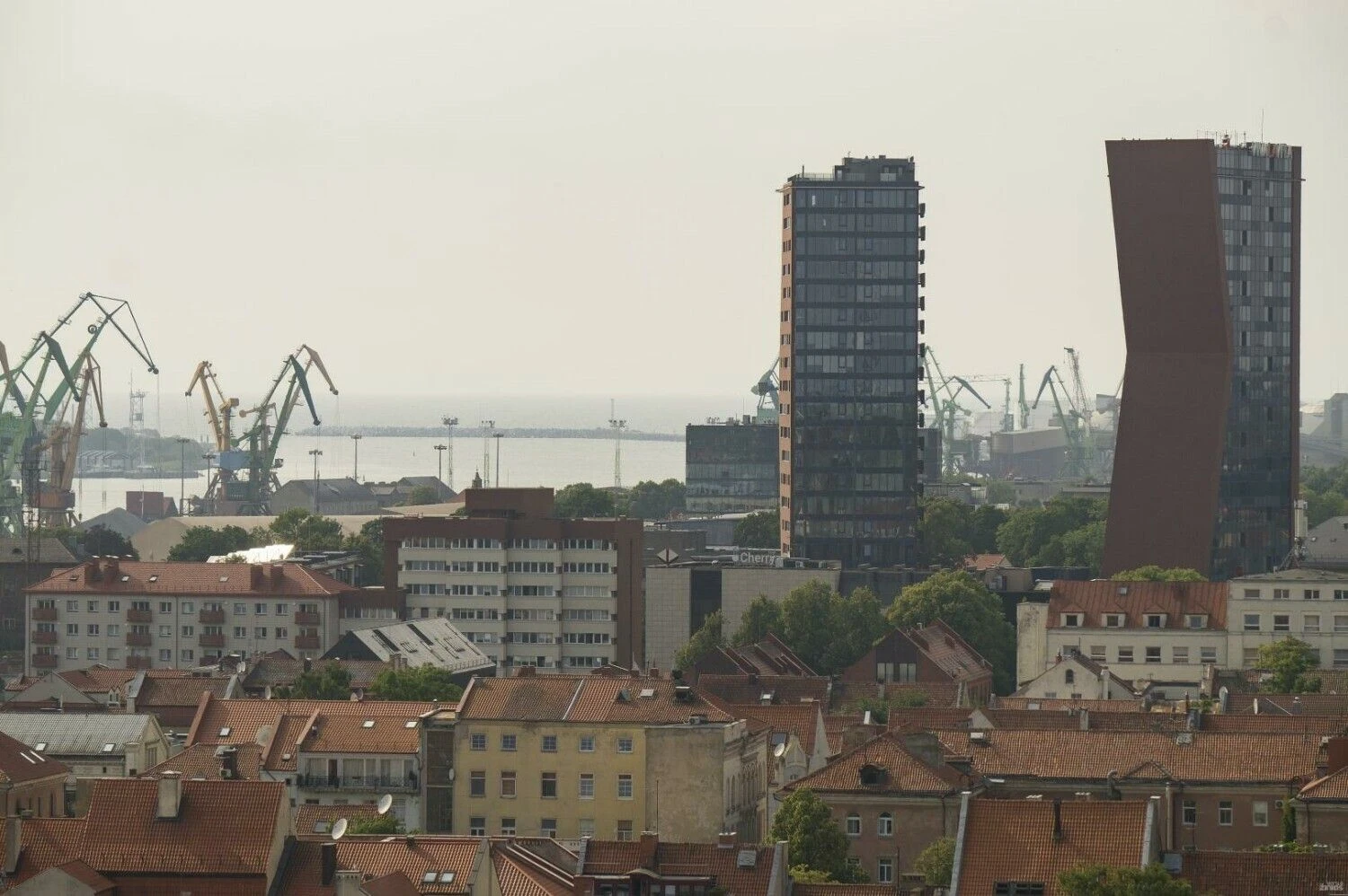 Algimanto Kalvaičio nuotr.