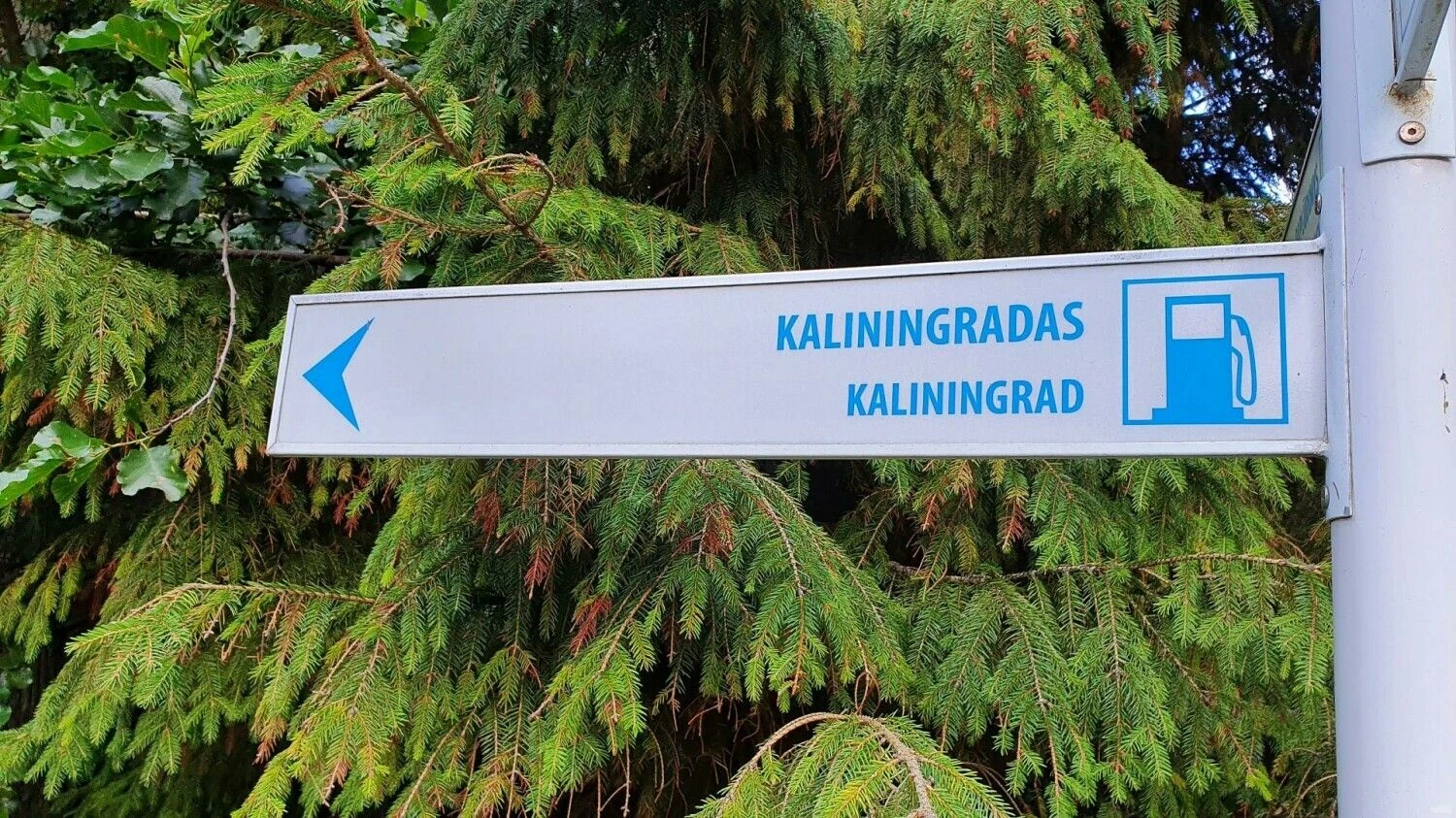 Rodyklė į Kaliningradą Nidoje. Lino Butkaus (VŽ) nuotr.