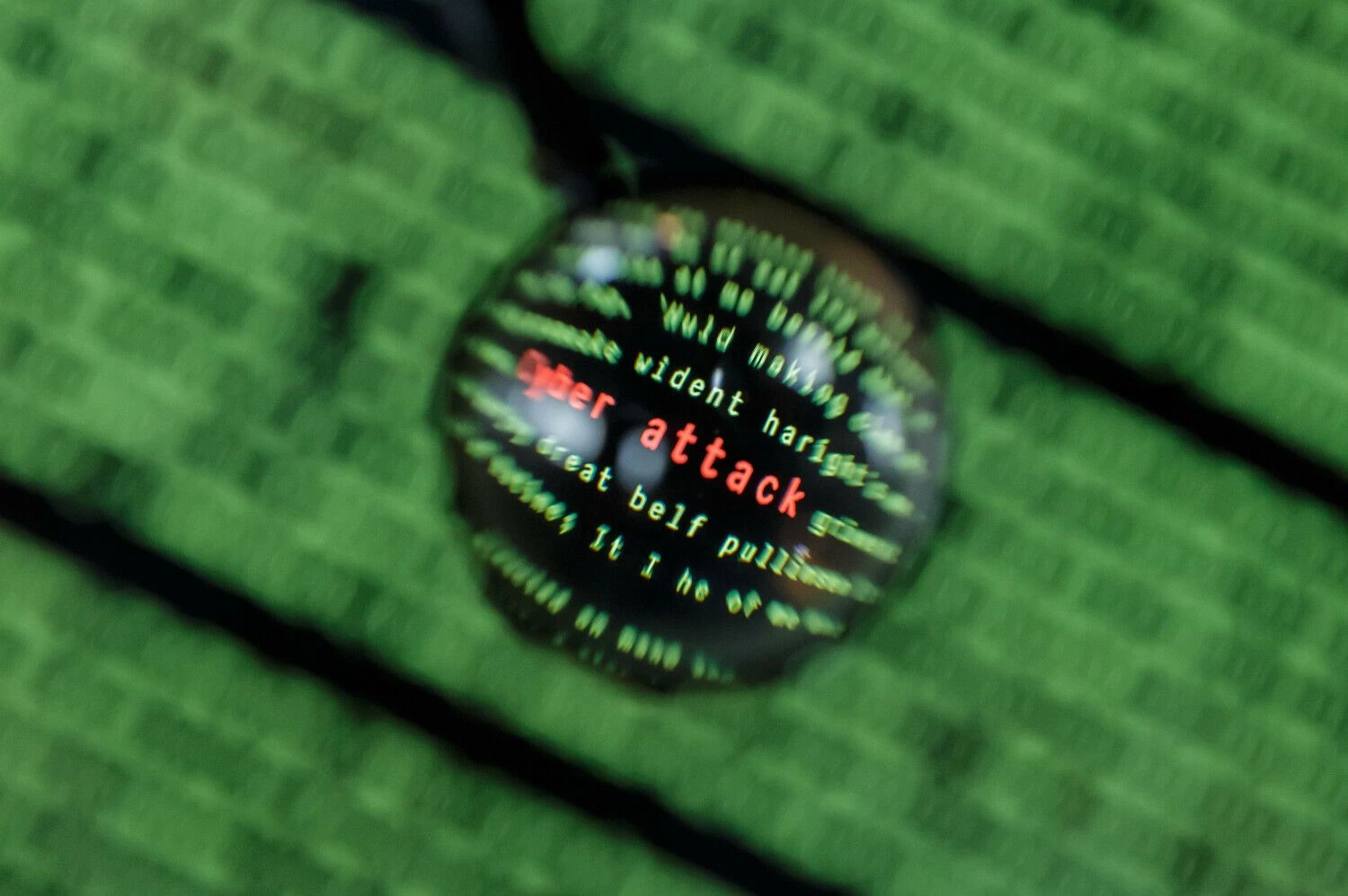 Vladimiro Ivanovo (VŽ) nuotr.