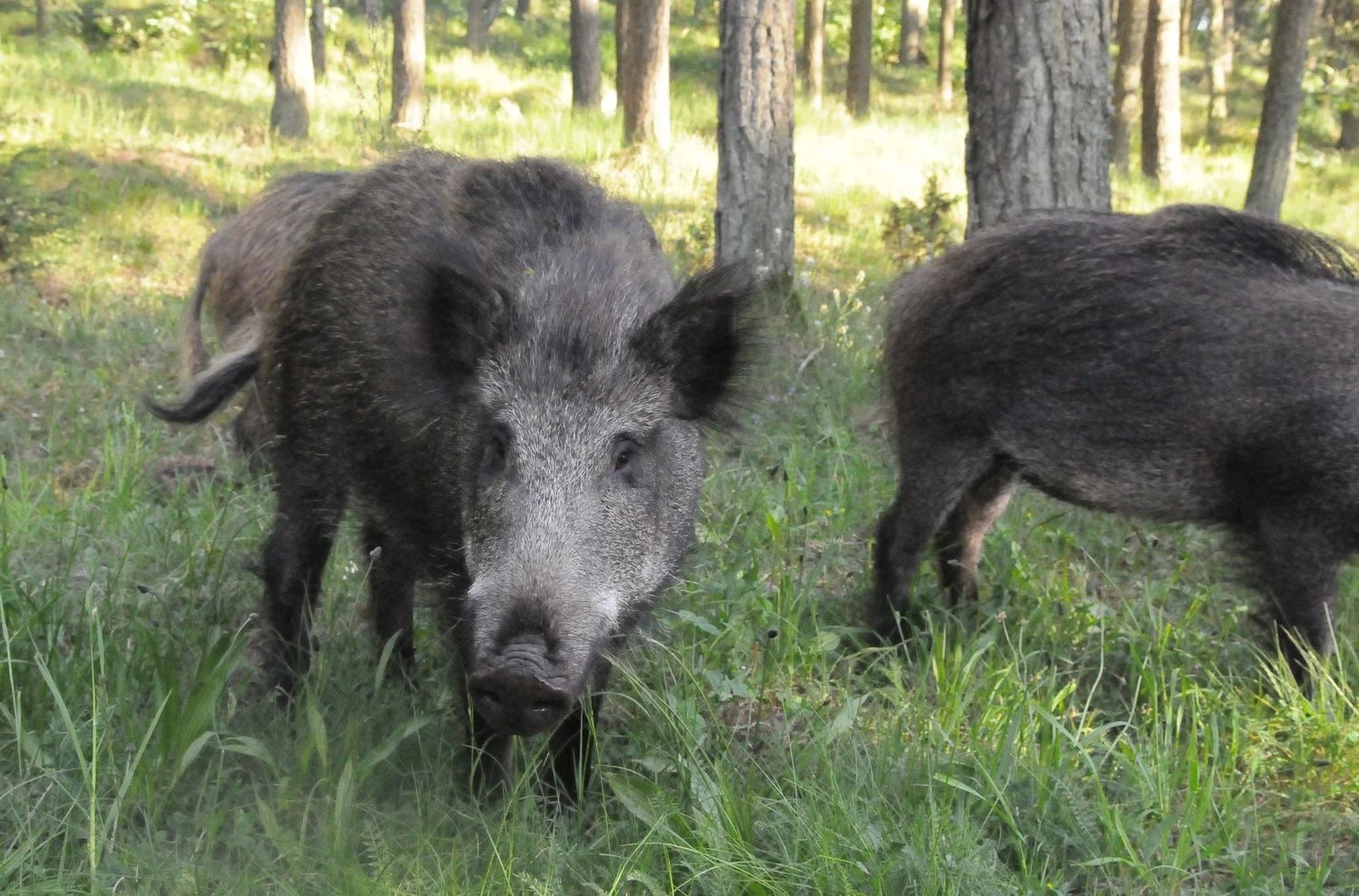 Aušros Barysienės nuotr. 