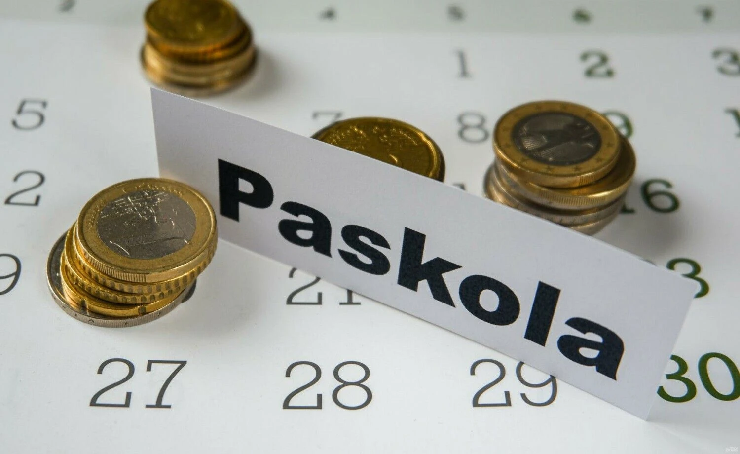 Juditos Grigelytės (VŽ) nuotr.