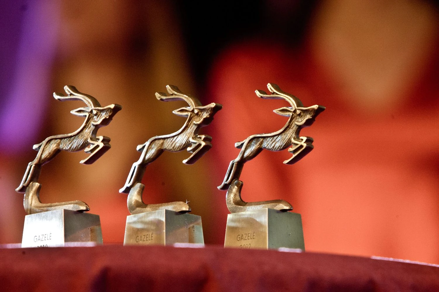 Vladimiro Ivanovo (VŽ) nuotr.