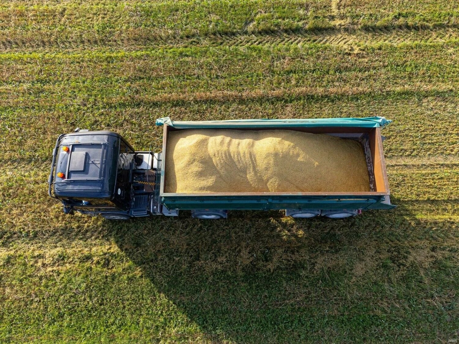 Vladimiro Ivanovo (VŽ) nuotr.