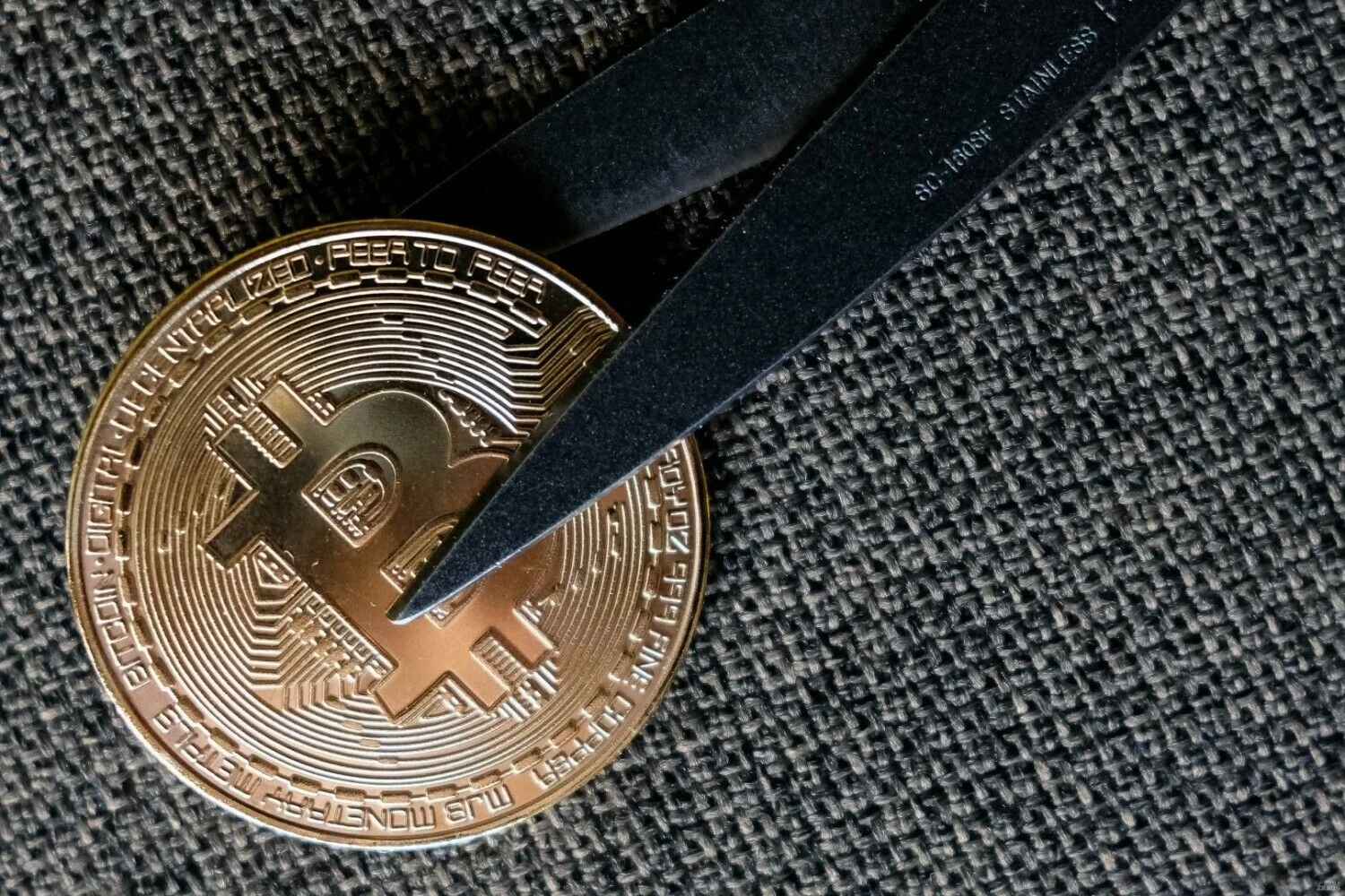 Vladimiro Ivanovo (VŽ) nuotr.