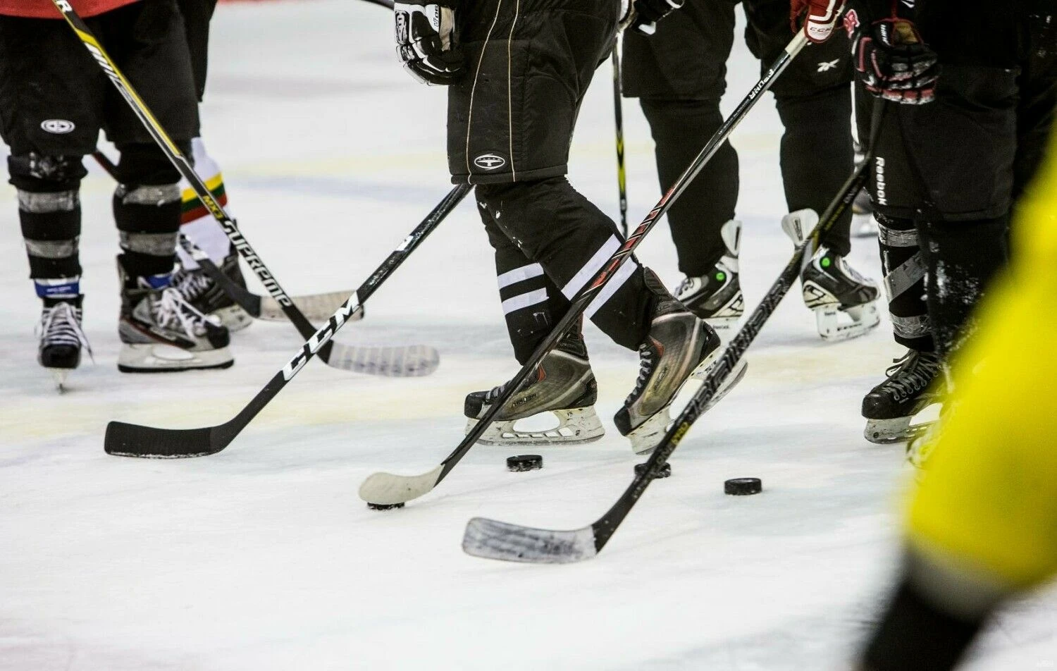 Juditos Grigelytės (VŽ) nuotr.