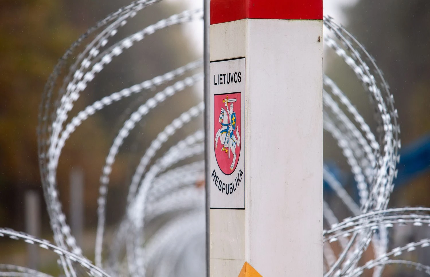 Juditos Grigelytės (VŽ) nuotr.