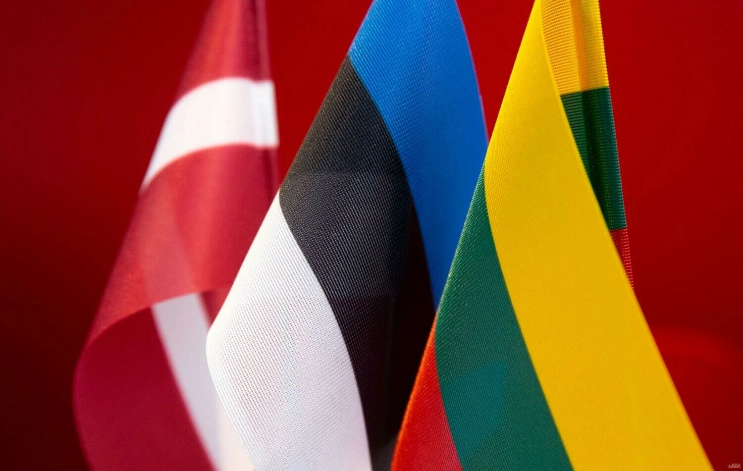 Juditos Grigelytės (VŽ) nuotr.