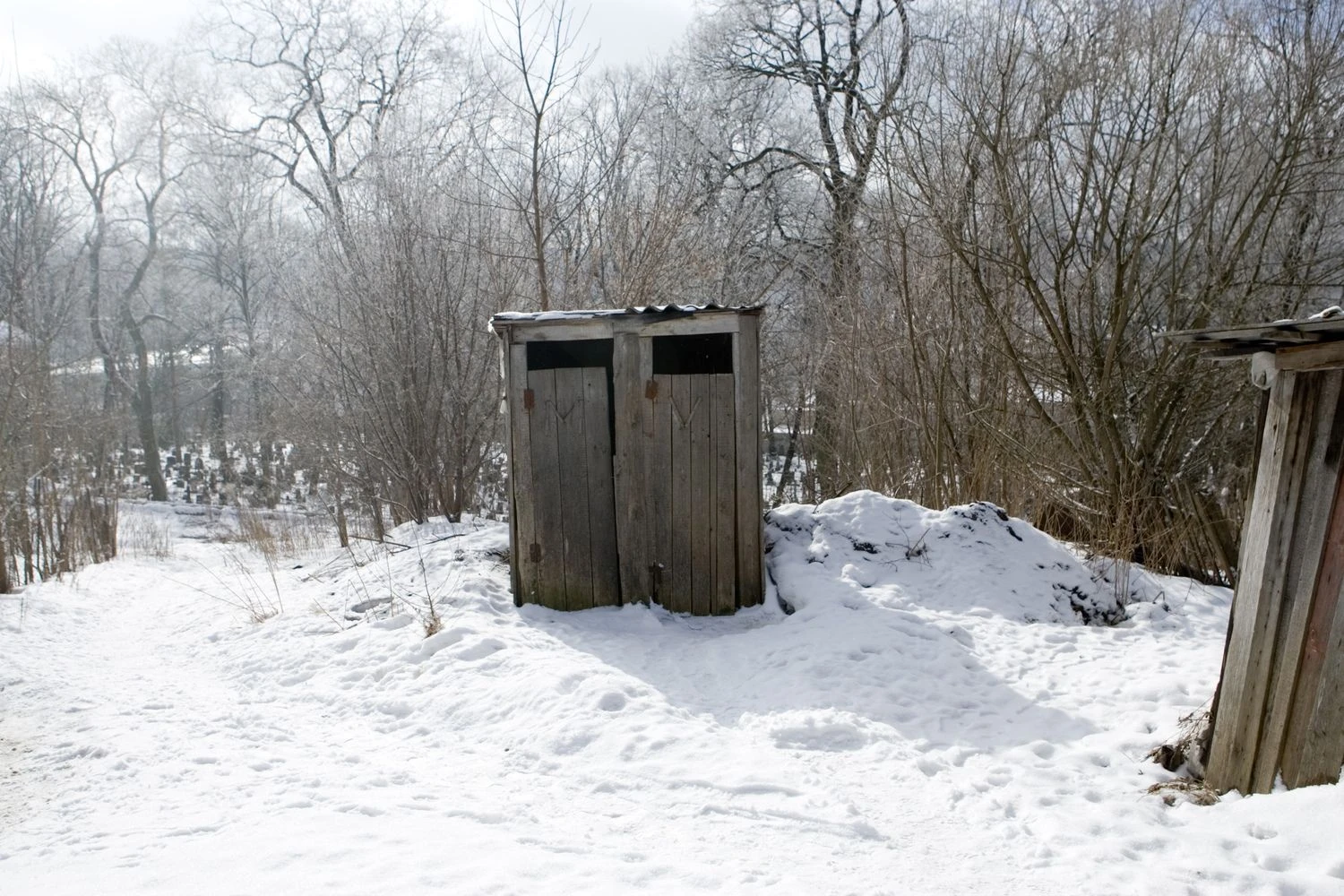 Vladimiro Ivanovo (VŽ) nuotr.