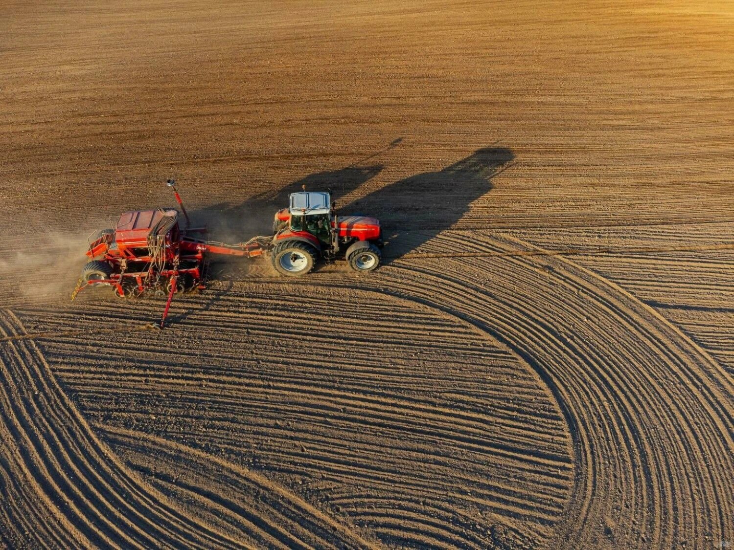 Vladimiro Ivanovo (VŽ) nuotr.