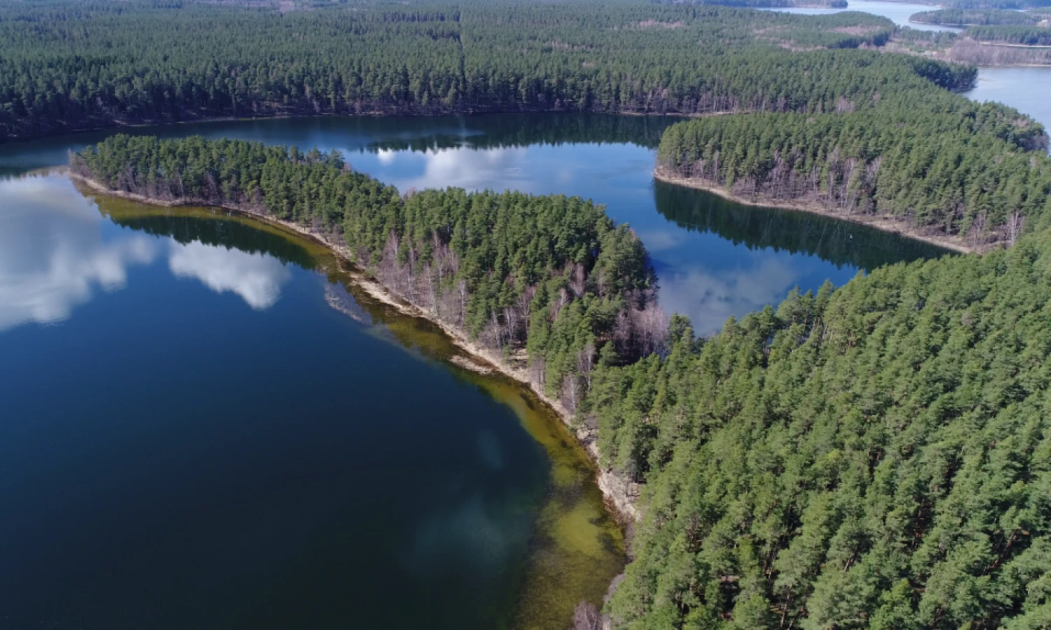 Ščiūrio ragas Labanoro regioniniame parke. VSTT nuotr.