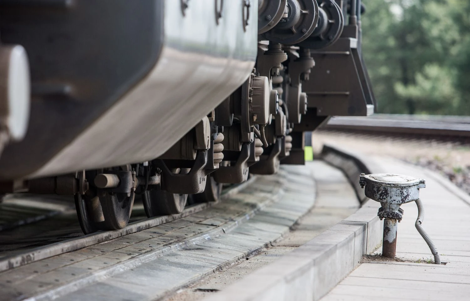 Juditos Grigelytės (VŽ) nuotr.