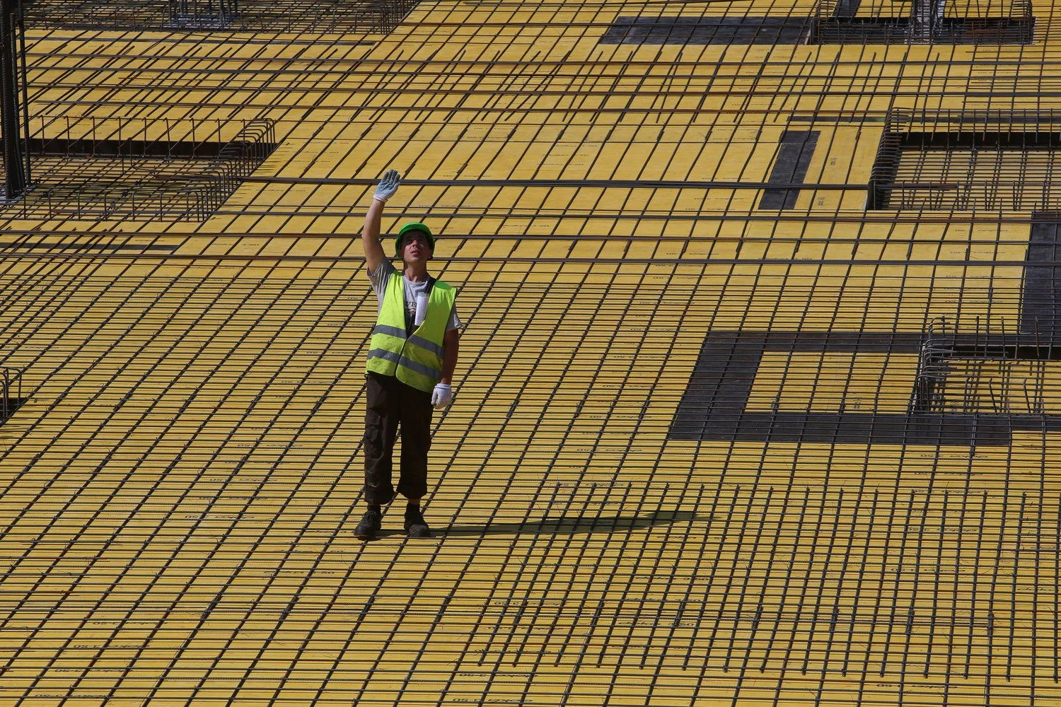 Vladimiro Ivanovo (VŽ) nuotr.