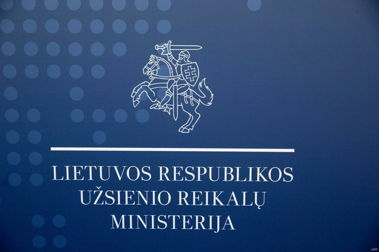 Vladimiro Ivanovo (VŽ) nuotr.