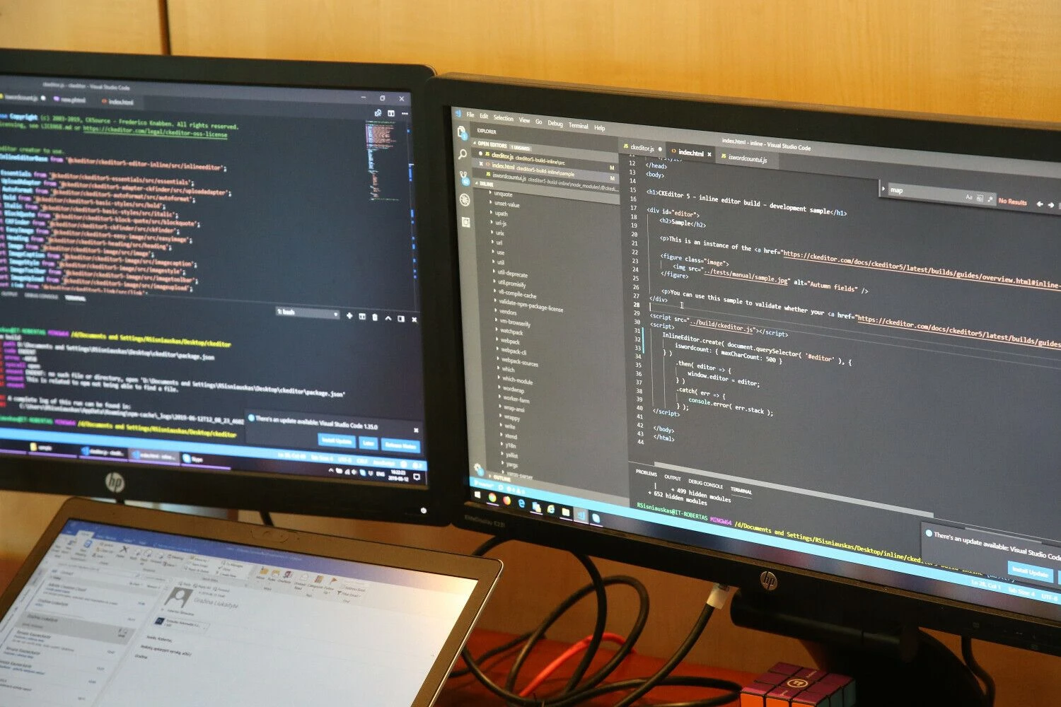 Vladimiro Ivanovo (VŽ) nuotr.