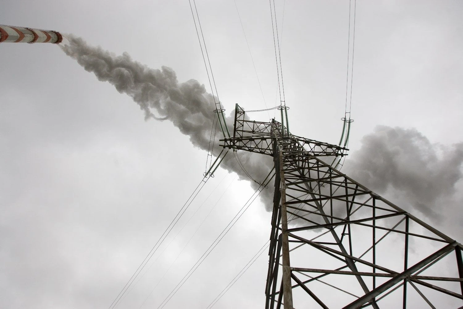 Juditos Grigelytės (VŽ) nuotr.