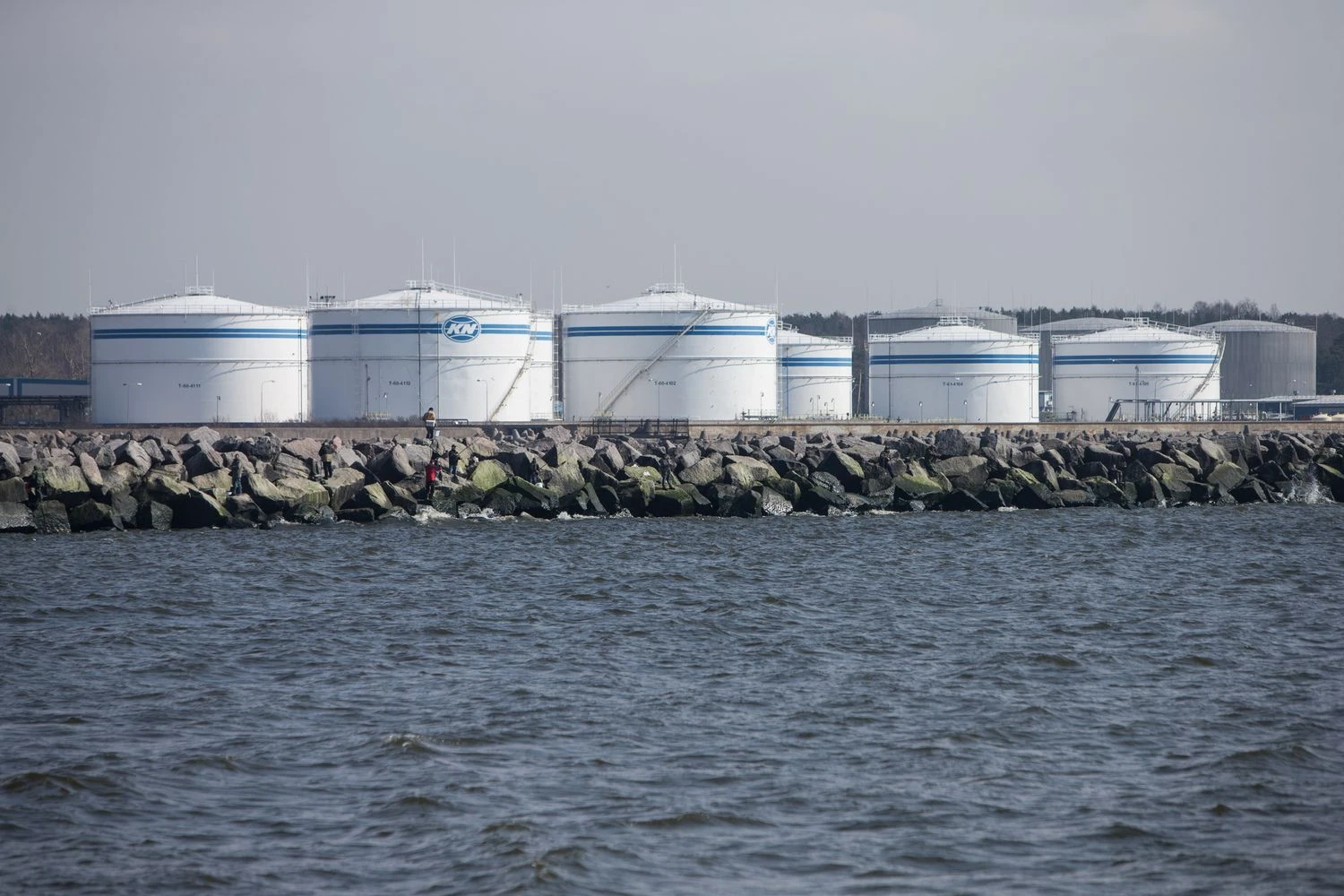 Juditos Grigelytės (VŽ) nuotr.