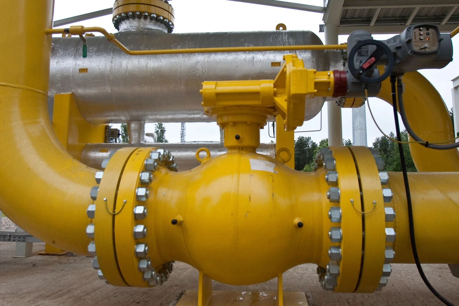 Herkaus Milaševičiaus nuotr.