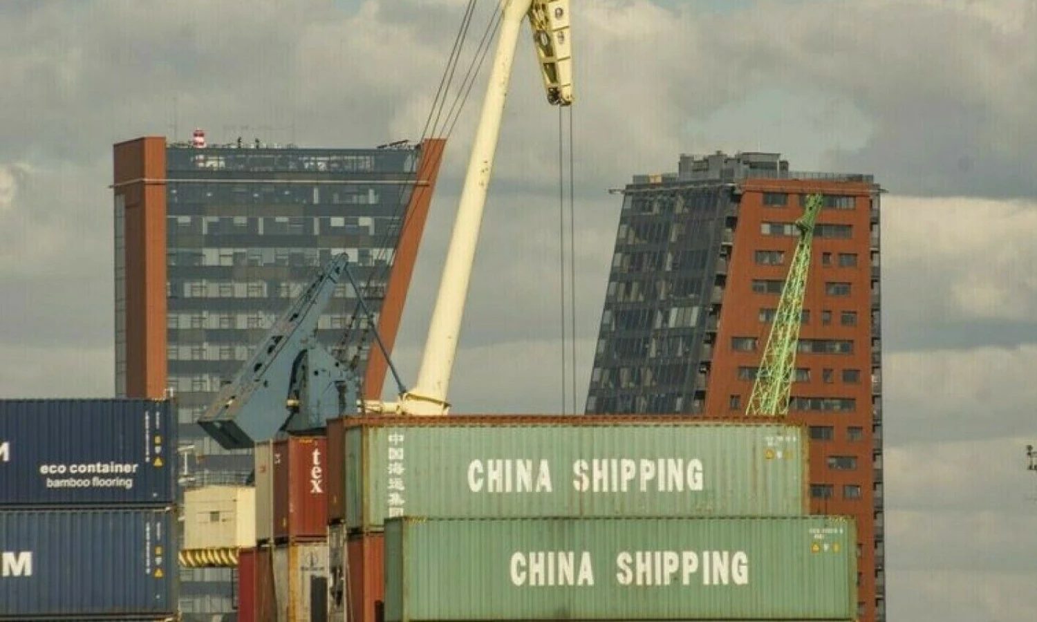 Algimanto Kalvaičio nuotr.