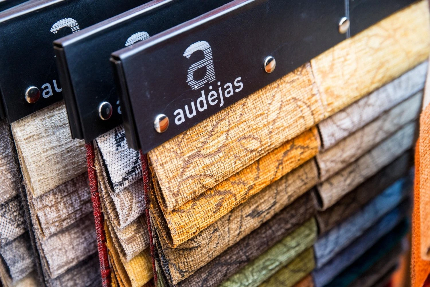 Vladimiro Ivanovo (VŽ) nuotr.