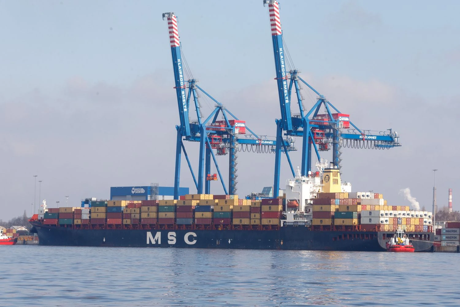 Vladimiro Ivanovo (VŽ) nuotr.