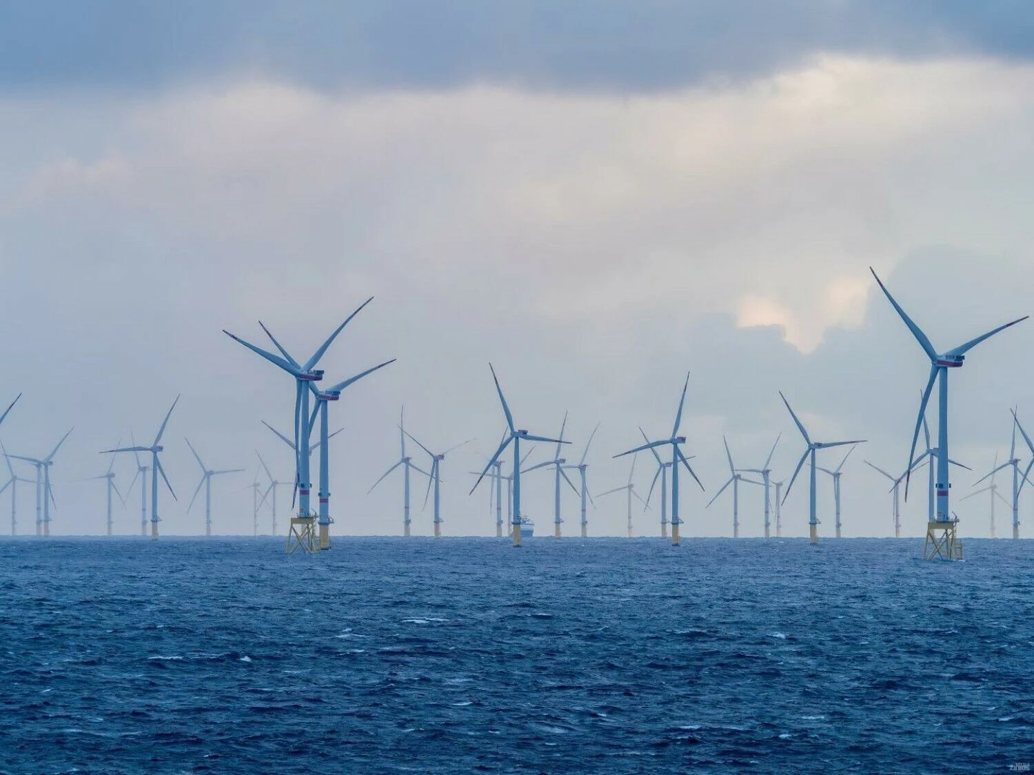 „Shutterstock“ nuotr.