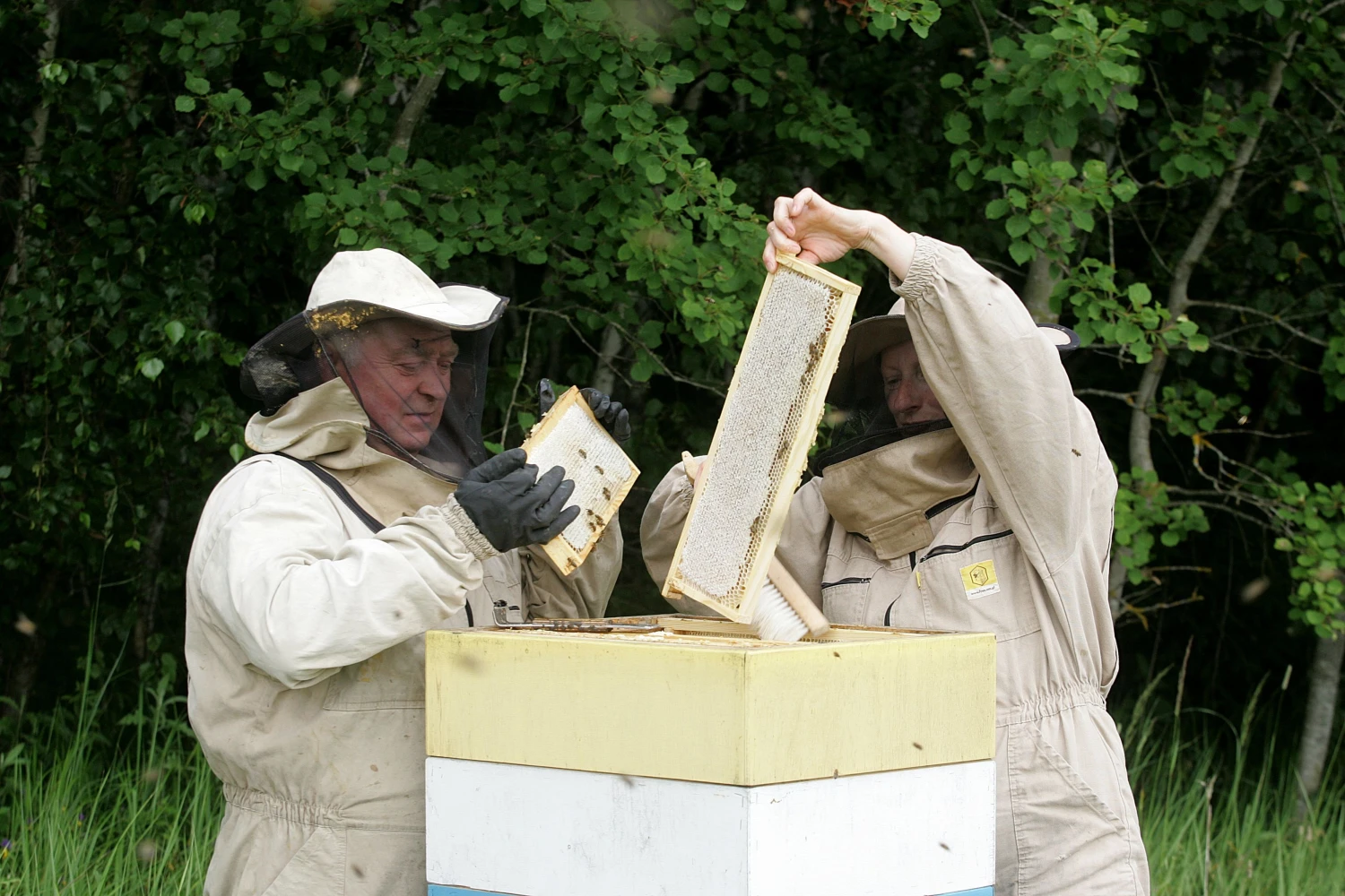 Šerkšnų bityno šeimininkai, gaminantys medų su „Šerkšno medaus“ prekės ženklu, sako, kad šįmet išsuko apie 15 t medaus. ALGIMANTO BARZDŽIAUS NUOTR. 