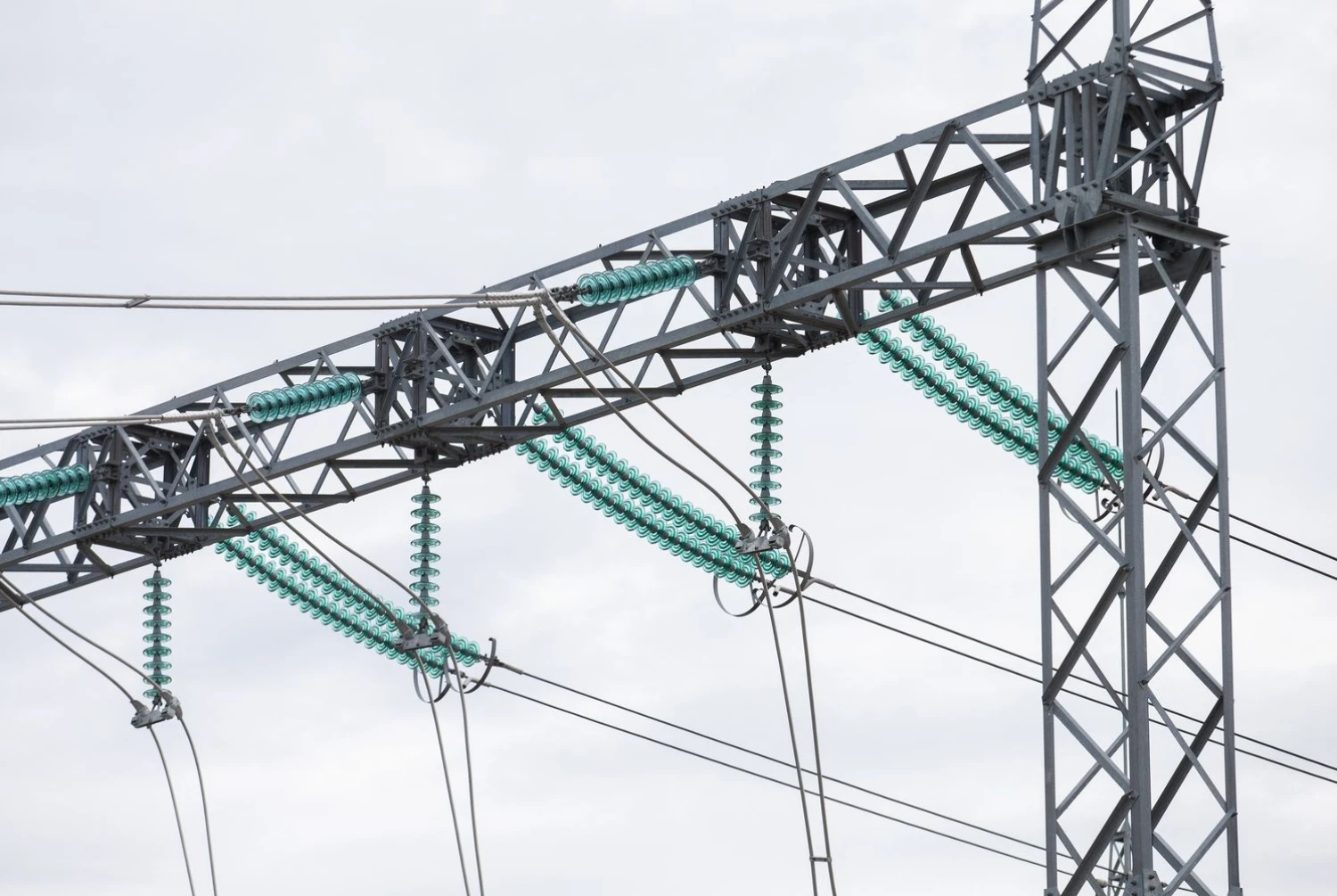 Juditos Grigelytės (VŽ) nuotr.