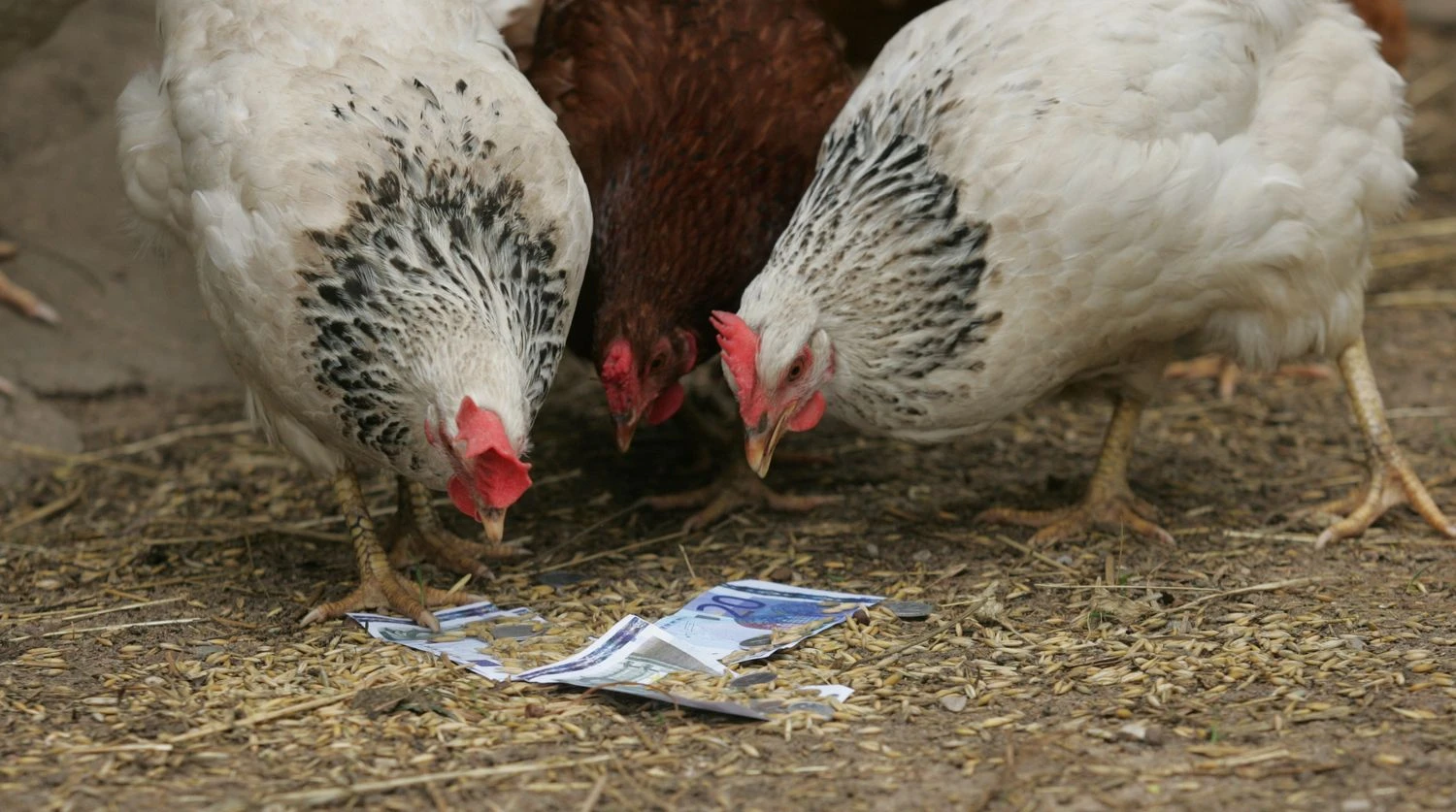 Juditos Grigelytės (VŽ) nuotr.