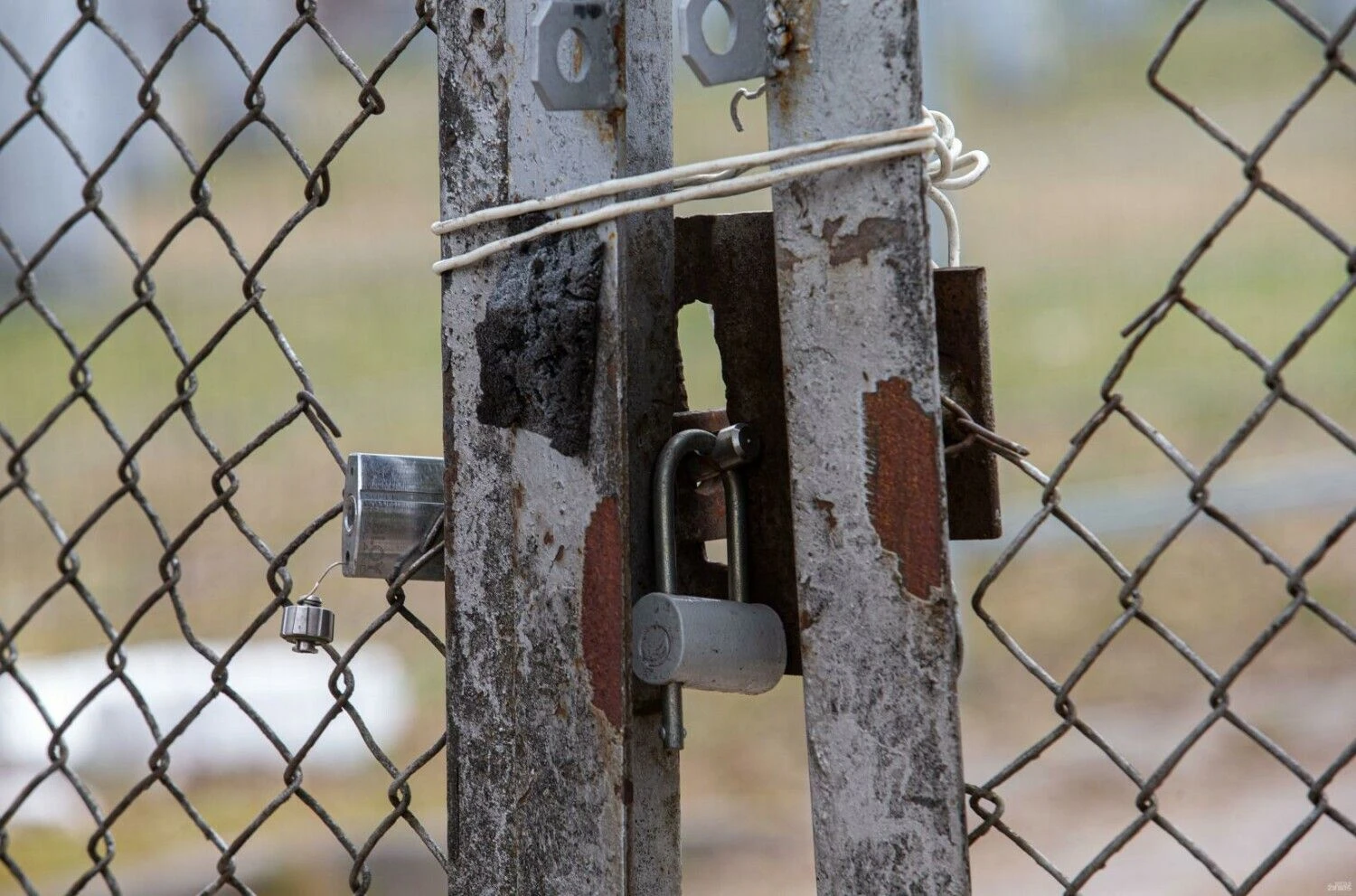 Juditos Grigelytės (VŽ) nuotr.